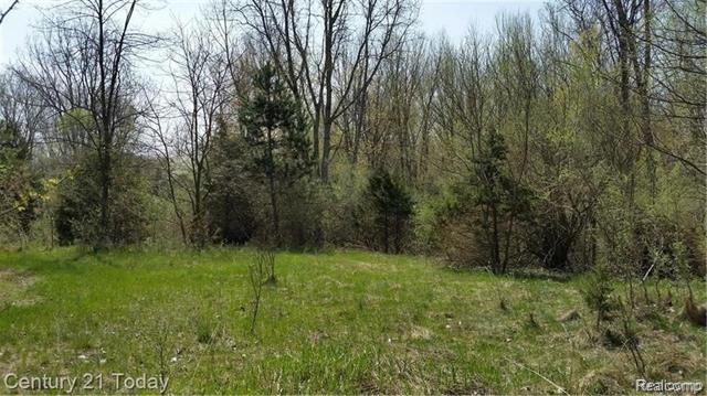 Ash Twp, Michigan, 48117, United States, ,Land,For Sale,1980290