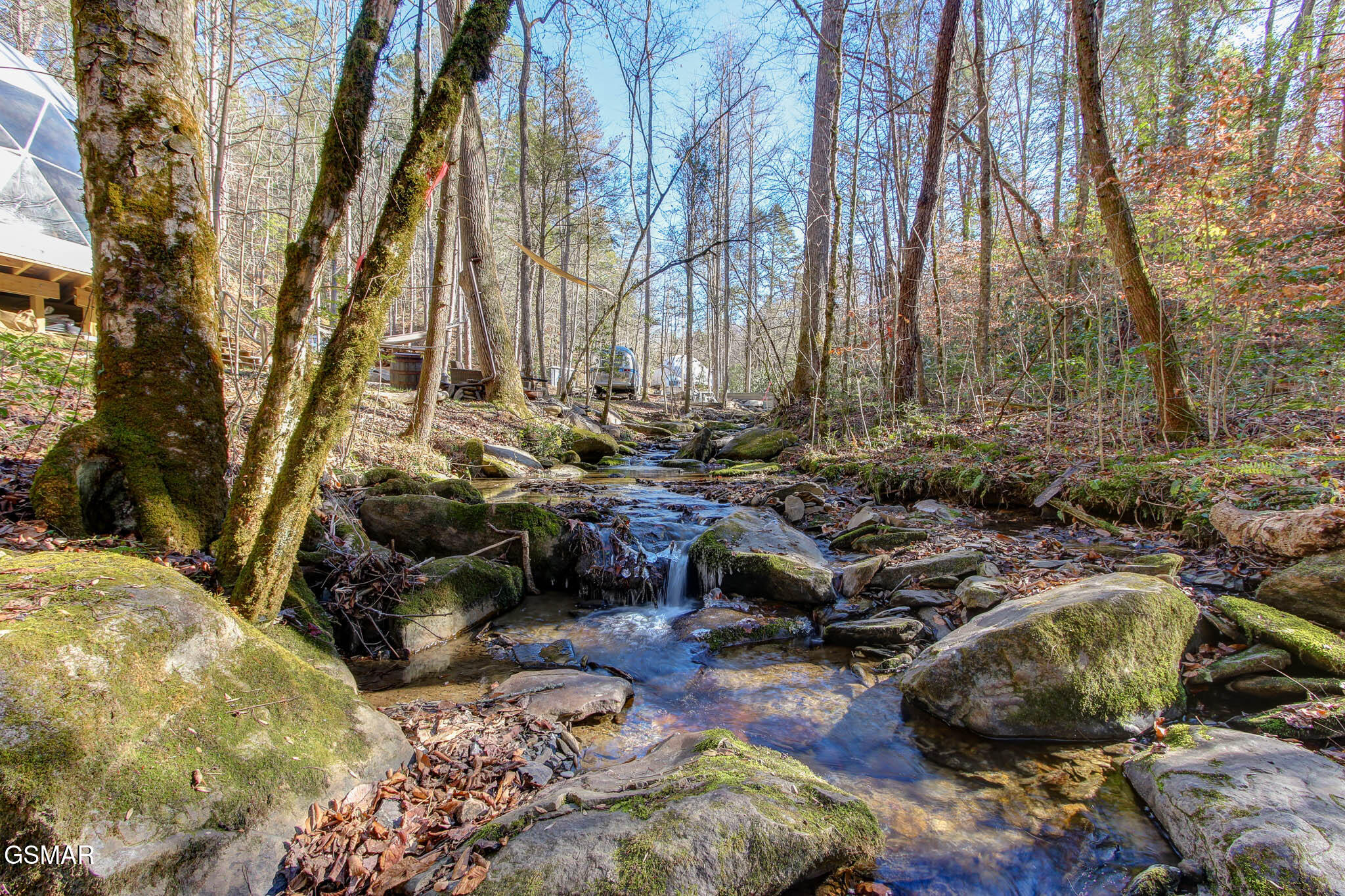 Cosby, Tennessee, 37722, United States, ,Land,For Sale,1978210