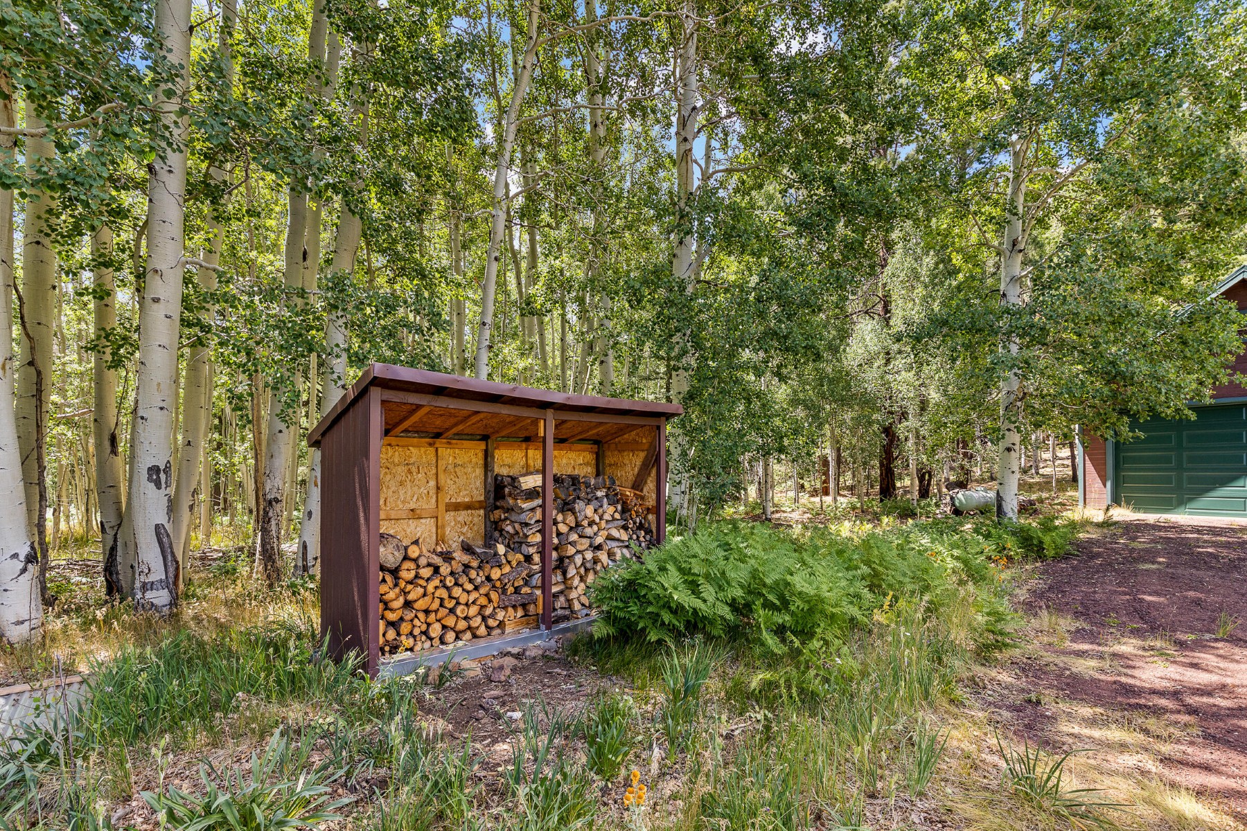  17787 N Forest Service 9004t Road ¦ Flagstaff, AZ - 物件實景