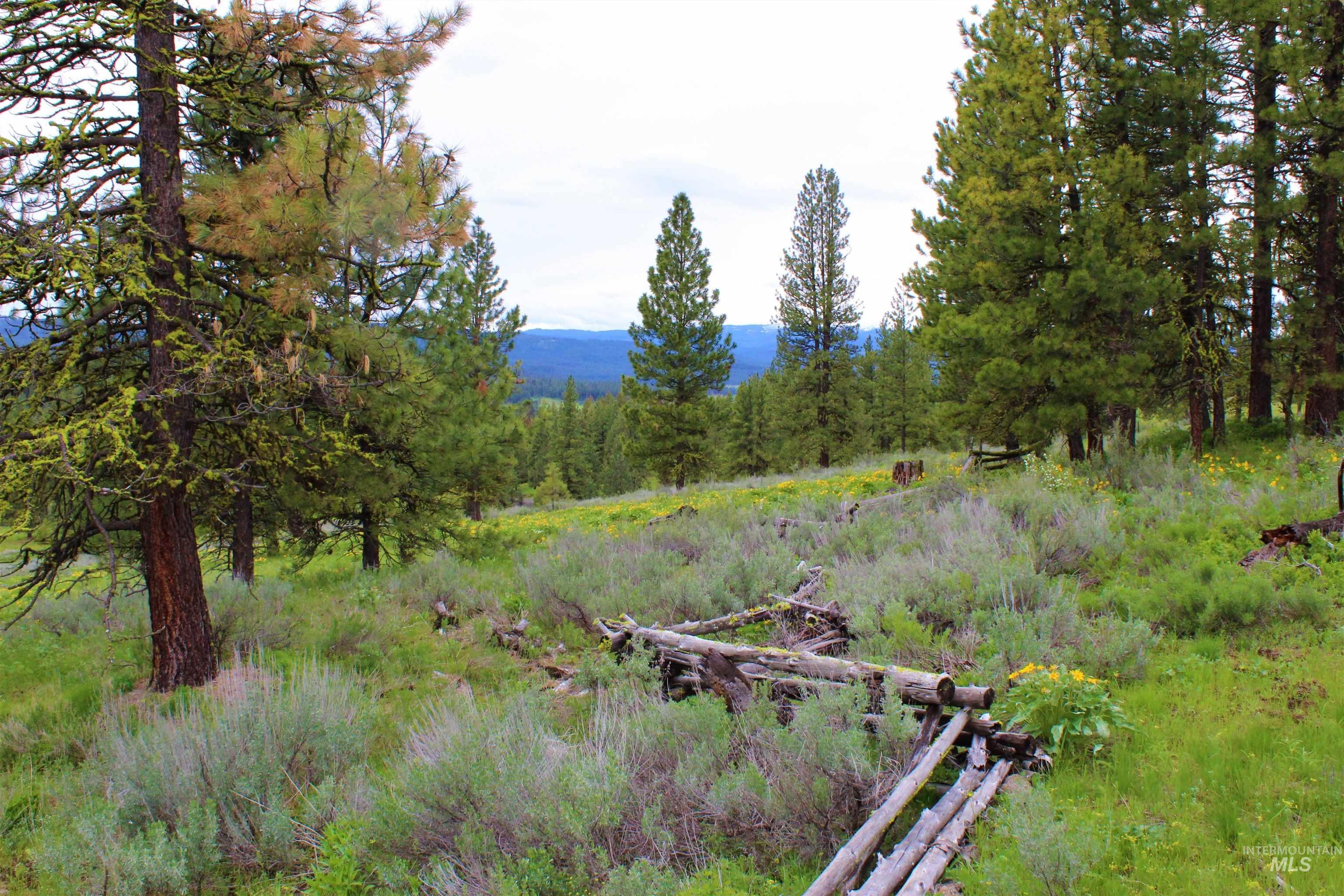 New Meadows, Idaho, 83654, United States, 2 Bedrooms Bedrooms, ,2 BathroomsBathrooms,Residential,For Sale,1980520