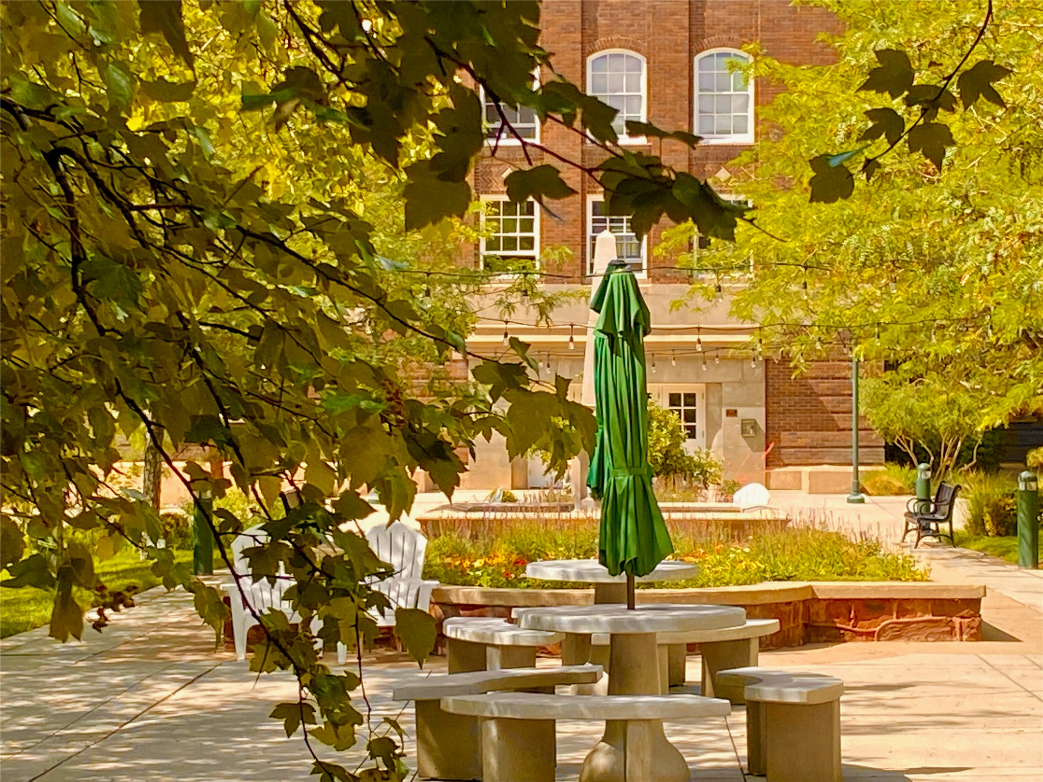  301 Central Avenue Ne #113 - 物件實景