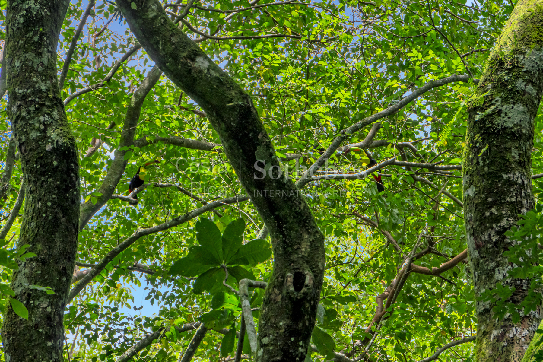  Atenas Highlands Eco Estate - 物件實景