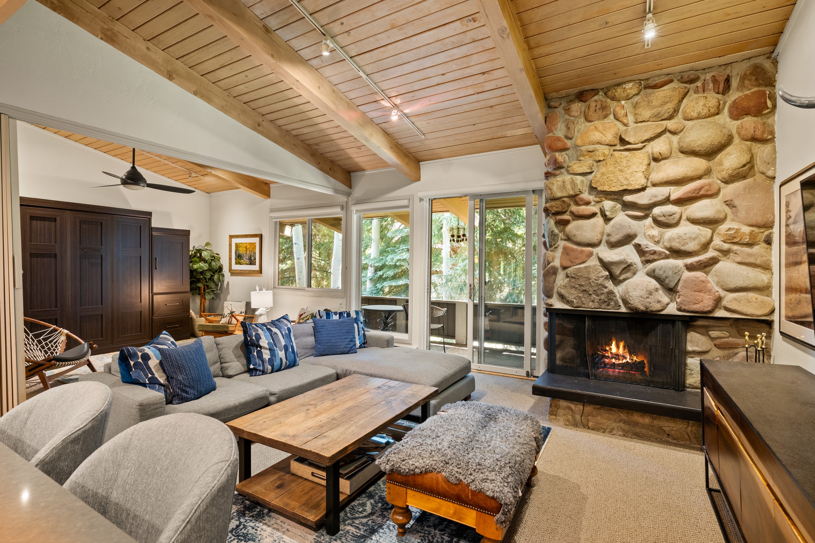  700 Ute Avenue, Aspen, CO, 81611 - 物件實景