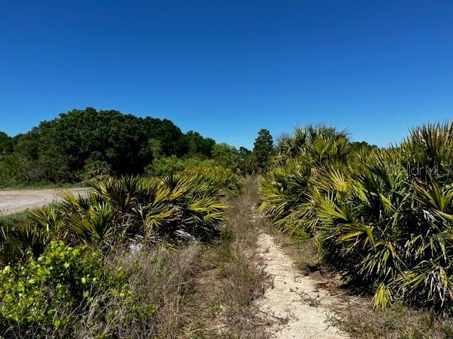 Punta Gorda, Florida, 33982, United States, ,Land,For Sale,1840783