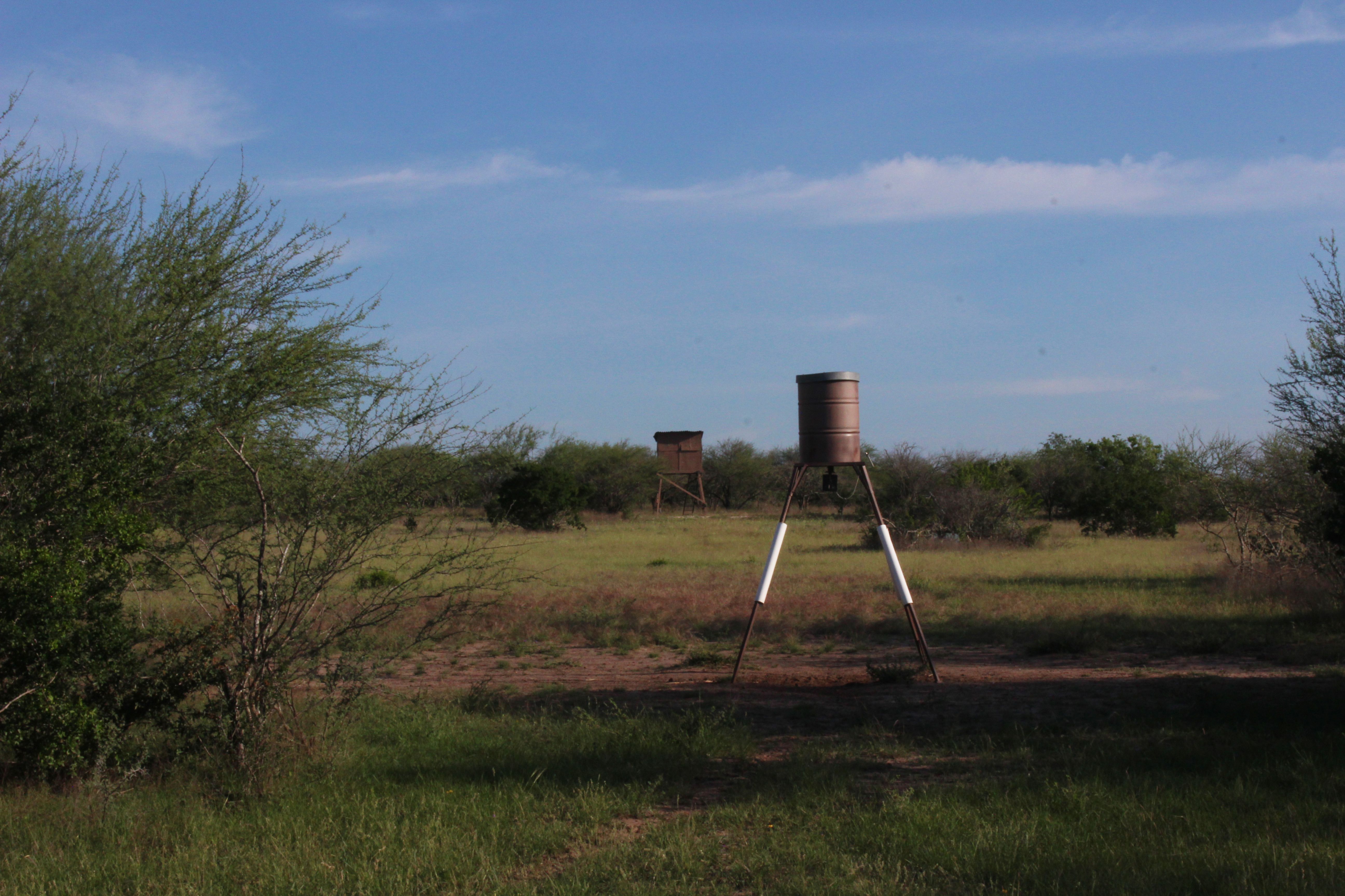  810+/- Acre Cabeza Creek Ranch - 物件實景