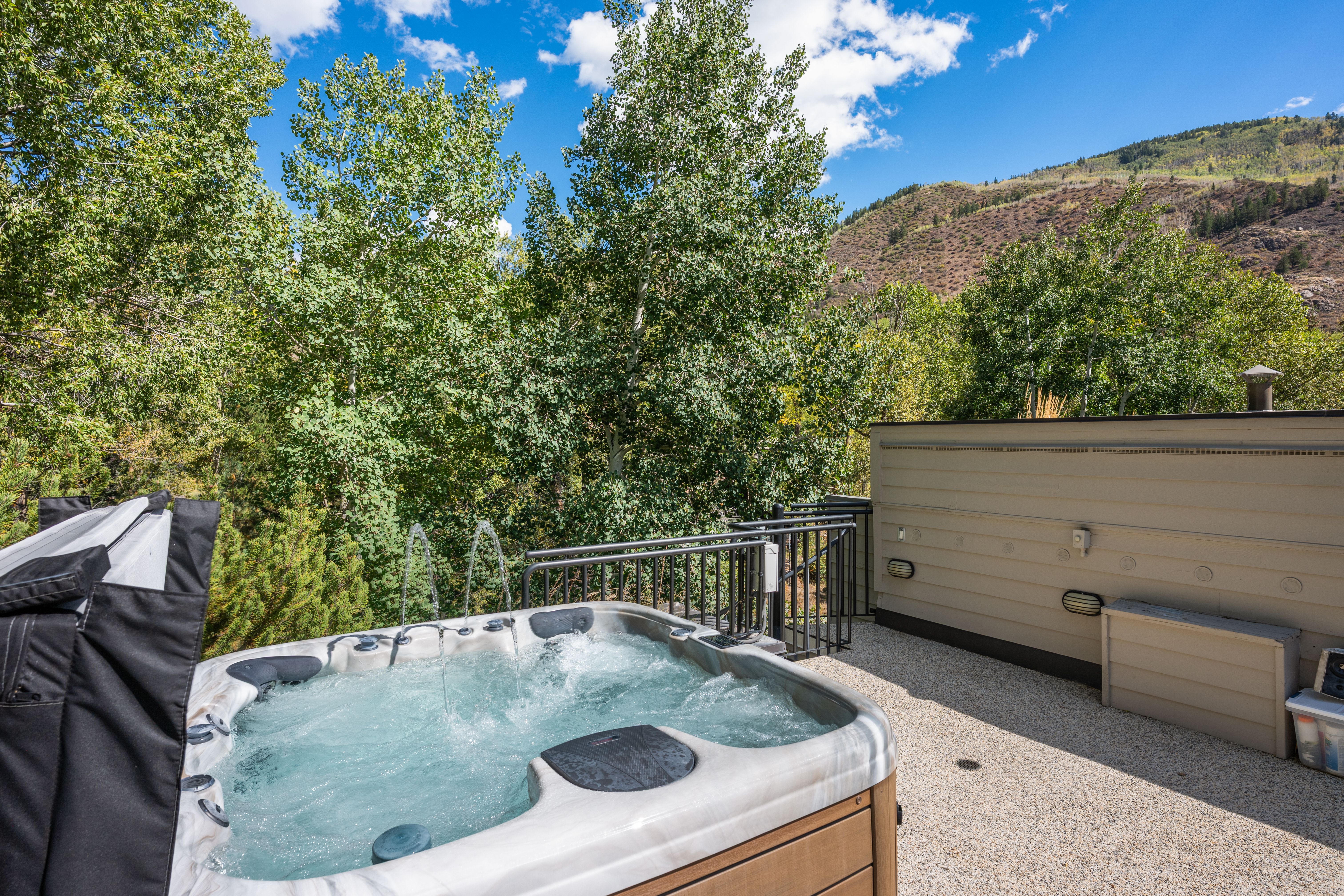  960 E Hopkins Avenue, Aspen, CO, 81611 - 物件實景
