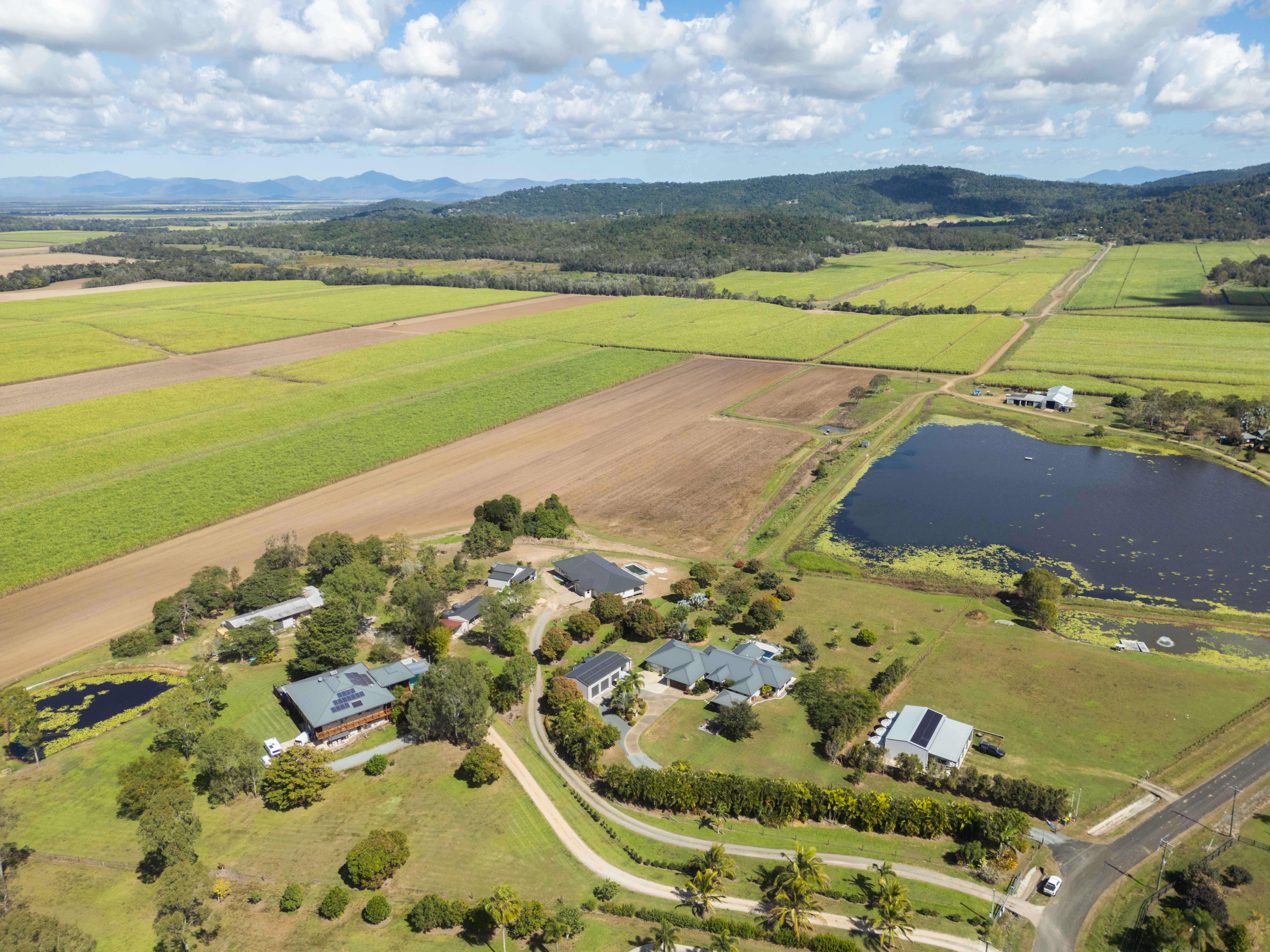  77A Windemere Drive, Strathdickie - 物件實景