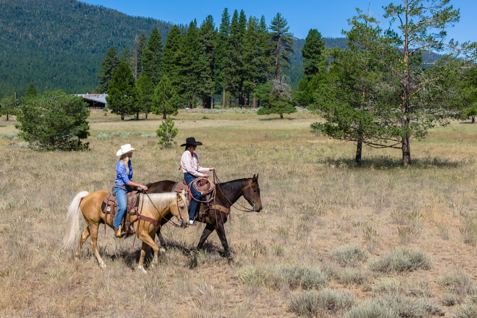  Landmark Ranch in California