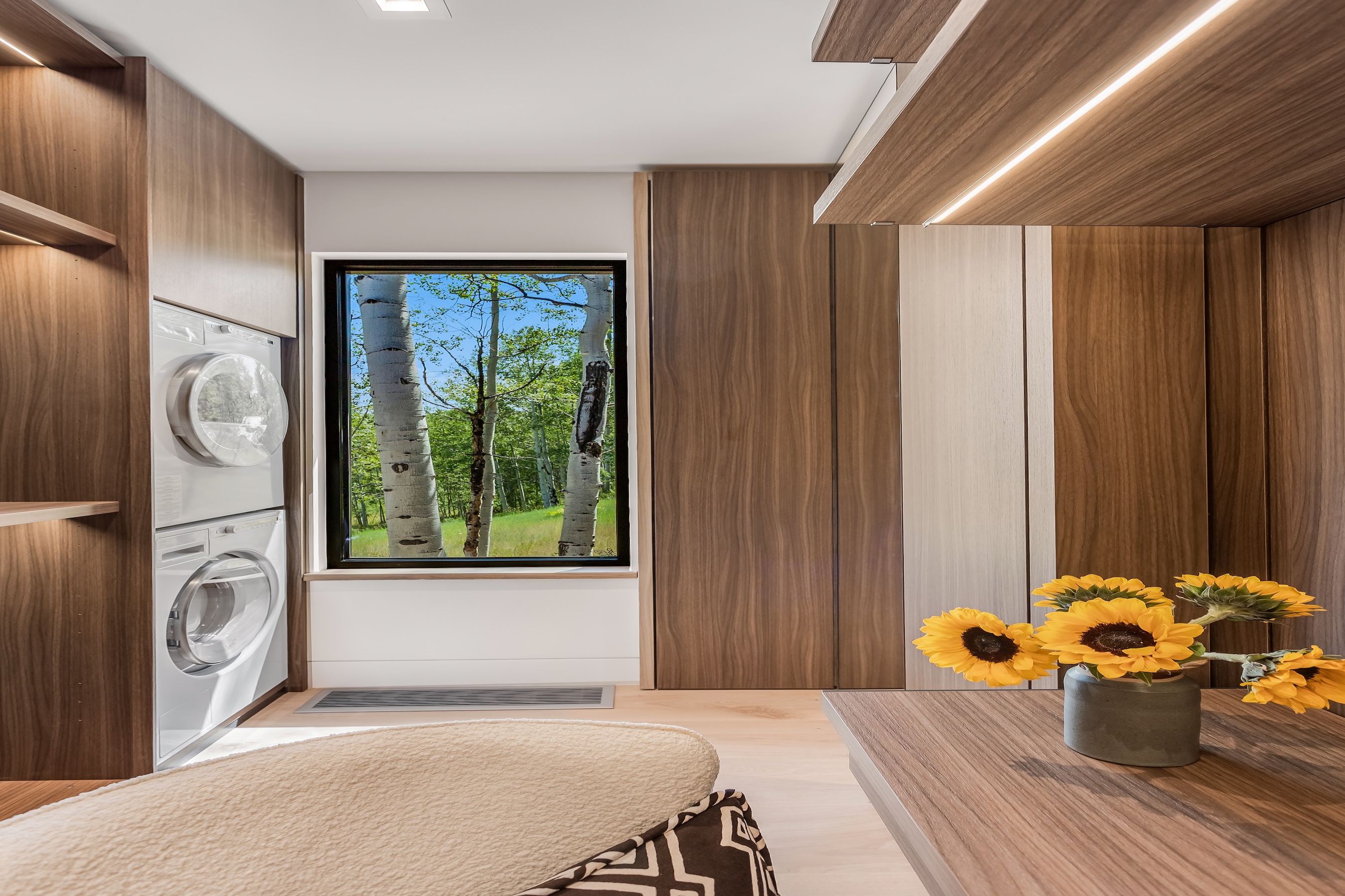  231 Maple Ridge Lane, Snowmass Village, CO 81615 - 物件實景