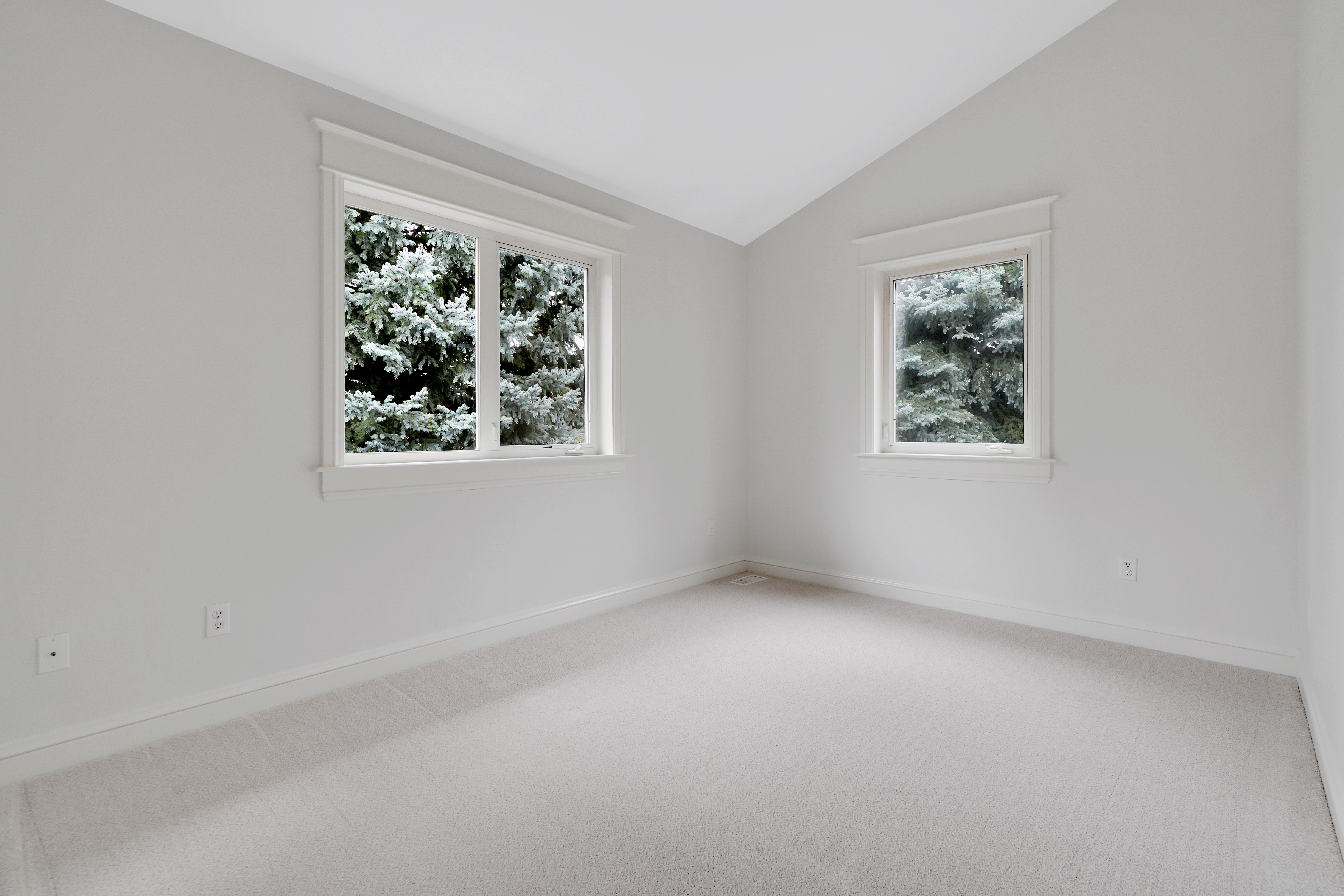  Custom Home with Vaulted Ceilings, Sauna and Wine Storage - 物件實景