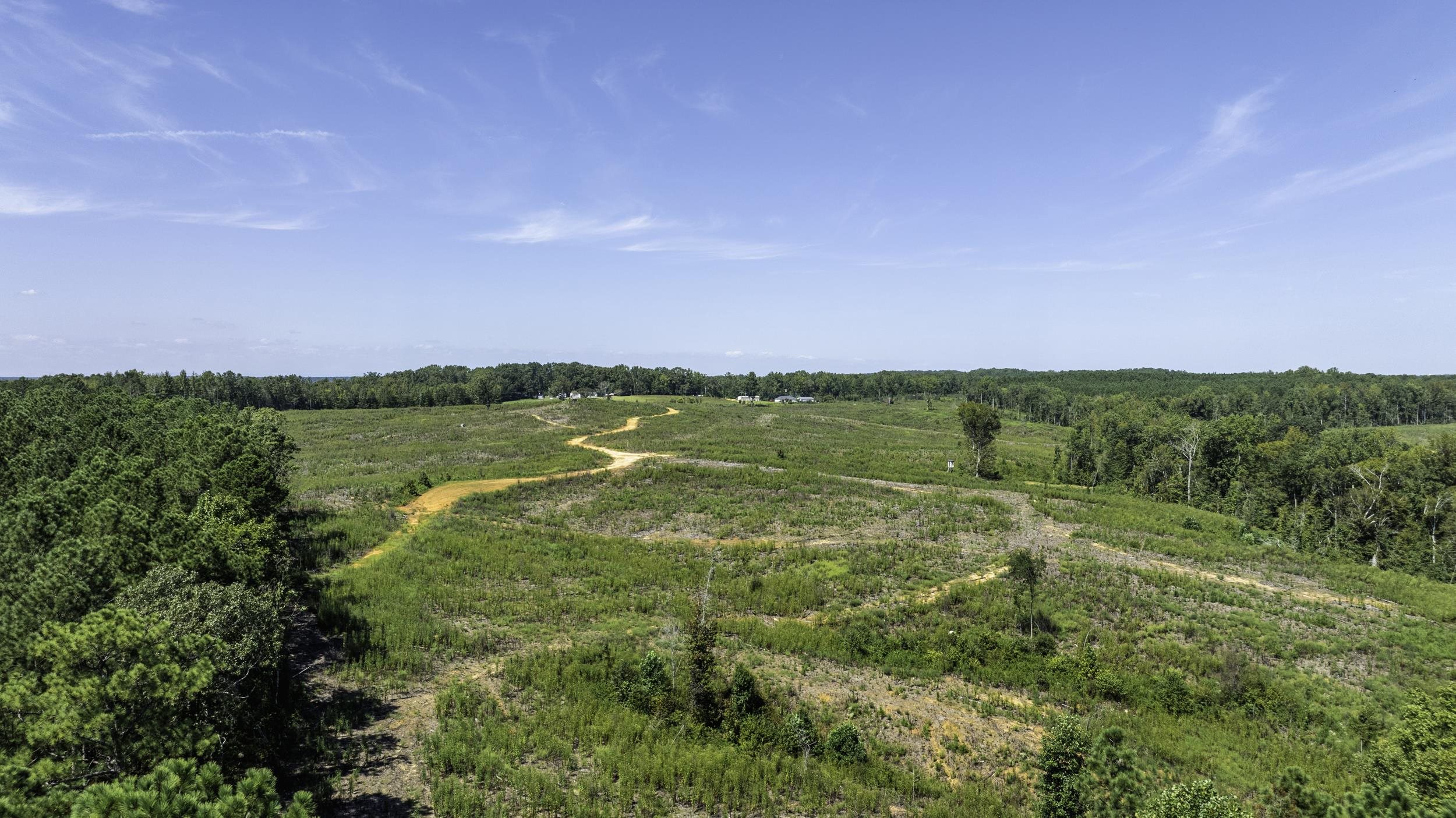 Gray Court, South Carolina, 29645, United States, ,Land,For Sale,1979531