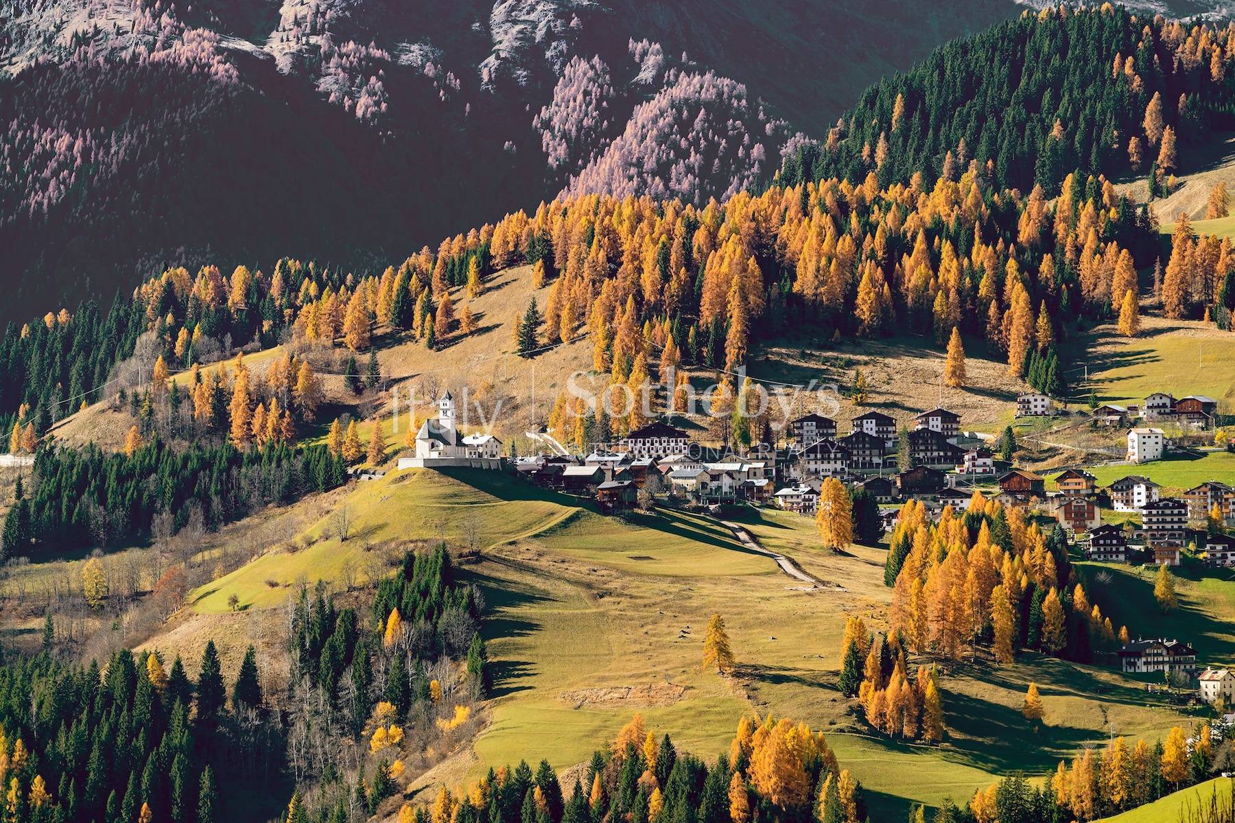  Contemporary chalet in the Dolomites of Selva di Cadore - 物件實景