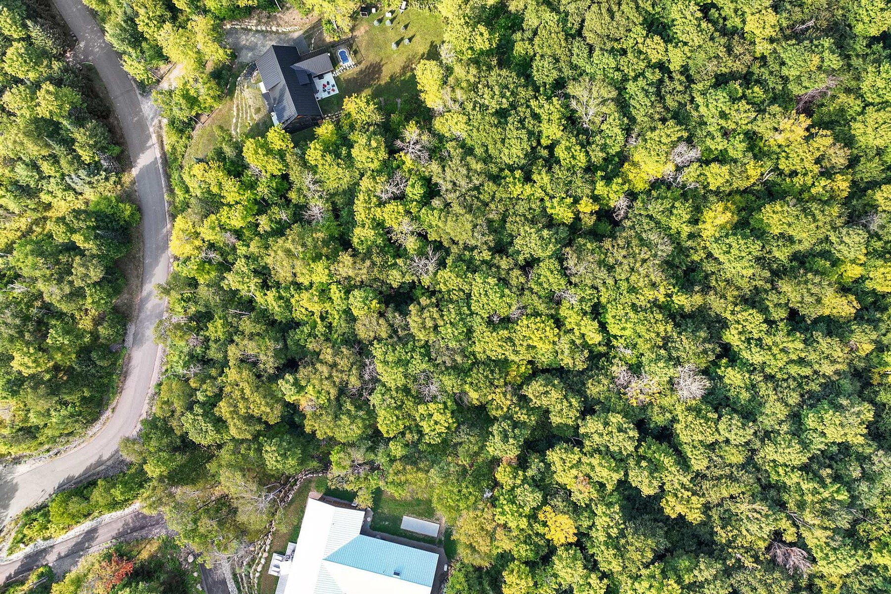  Mont-Tremblant, Laurentides - 物件實景
