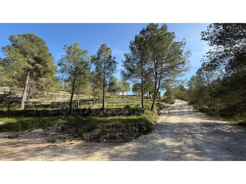 Jávea / Xàbia, Comunidad Valenciana, ES, 5 Bedrooms Bedrooms, ,5 BathroomsBathrooms,Residential,For Sale,1759817