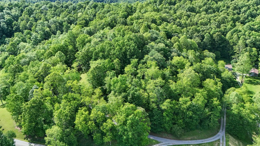 Horner, West Virginia, 26732, United States, 4 Bedrooms Bedrooms, ,4 BathroomsBathrooms,Residential,For Sale,1955004