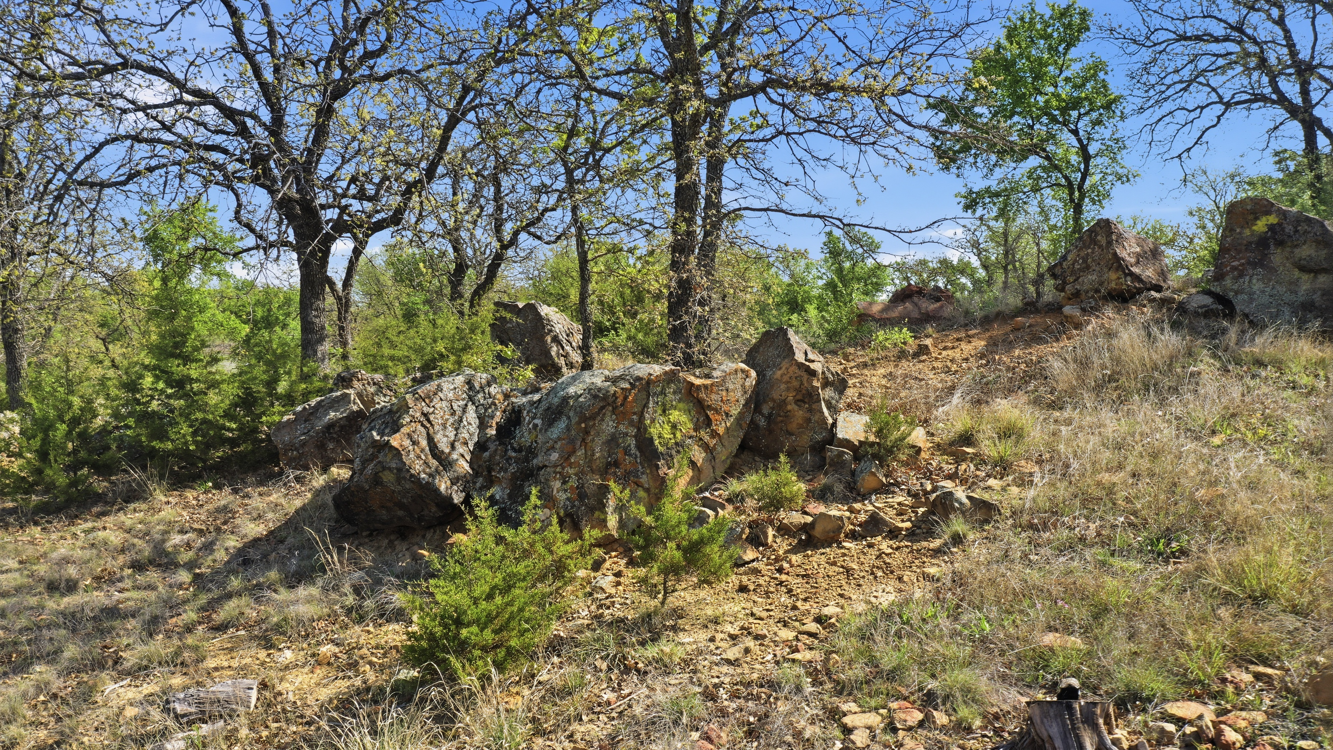  Space for Barns, Workshops, and Big Texas Dreams - 物件實景