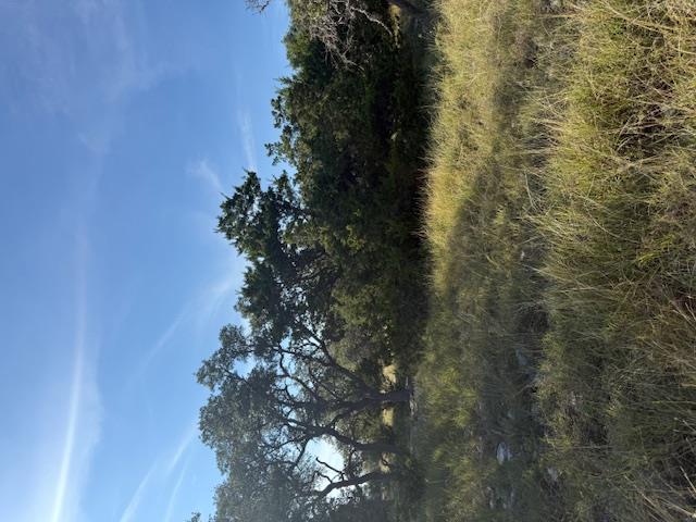 Fredericksburg, Texas, 78624, United States, 3 Bedrooms Bedrooms, ,2 BathroomsBathrooms,Residential,For Sale,1984349