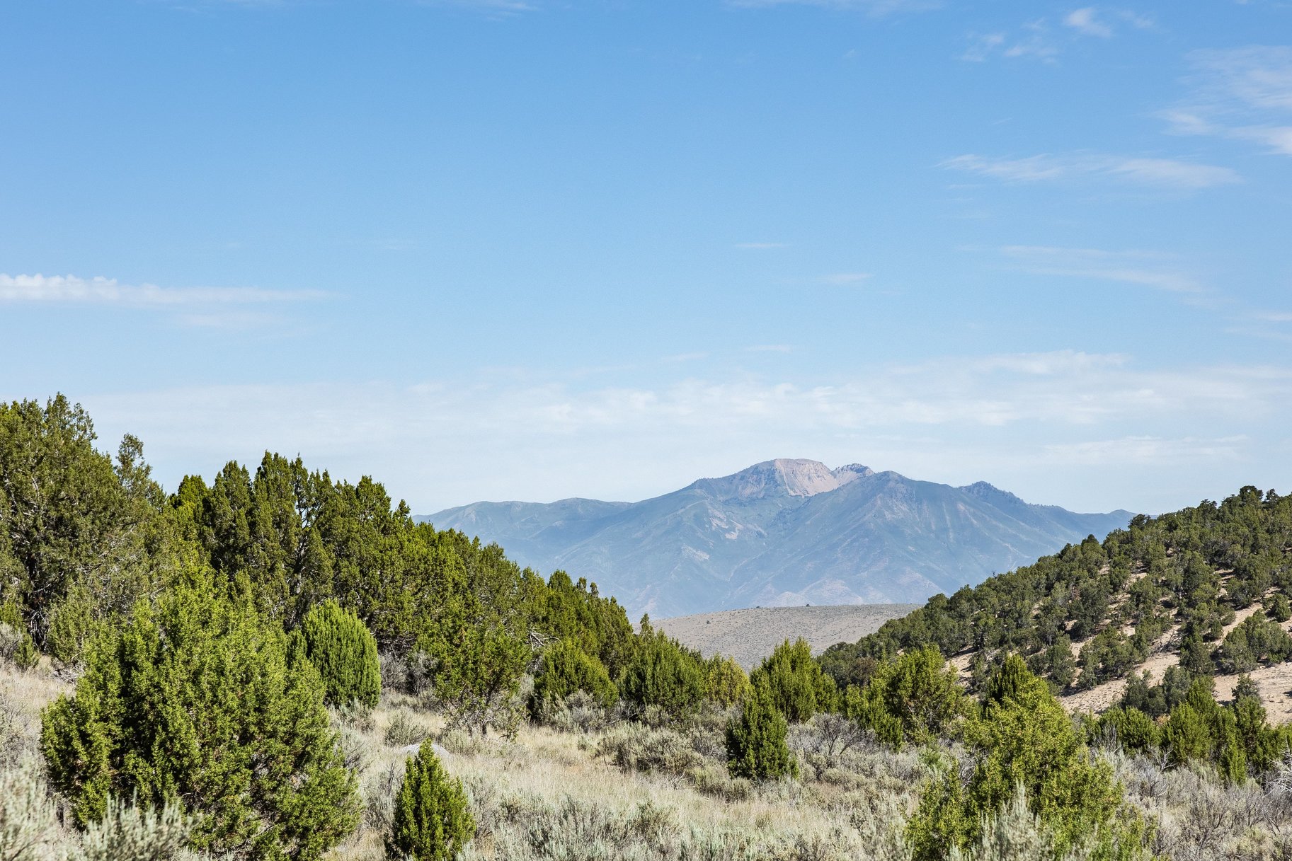  Mountain Living  STR Approved  1.01 Acres - 物件實景