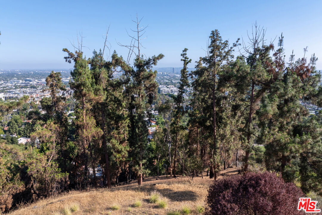 Los Angeles, California, 90046, United States, ,Land,For Sale,1891121