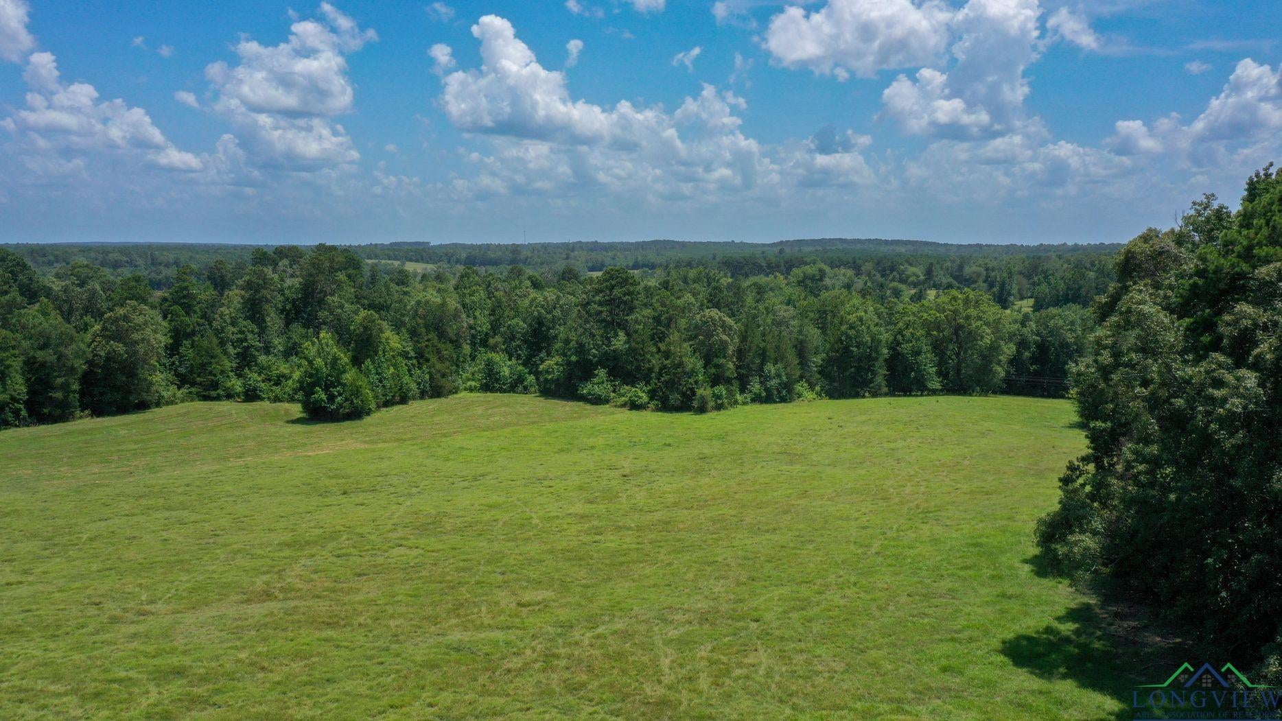 Linden, Texas, 75563, United States, 3 Bedrooms Bedrooms, ,3 BathroomsBathrooms,Residential,For Sale,1974630