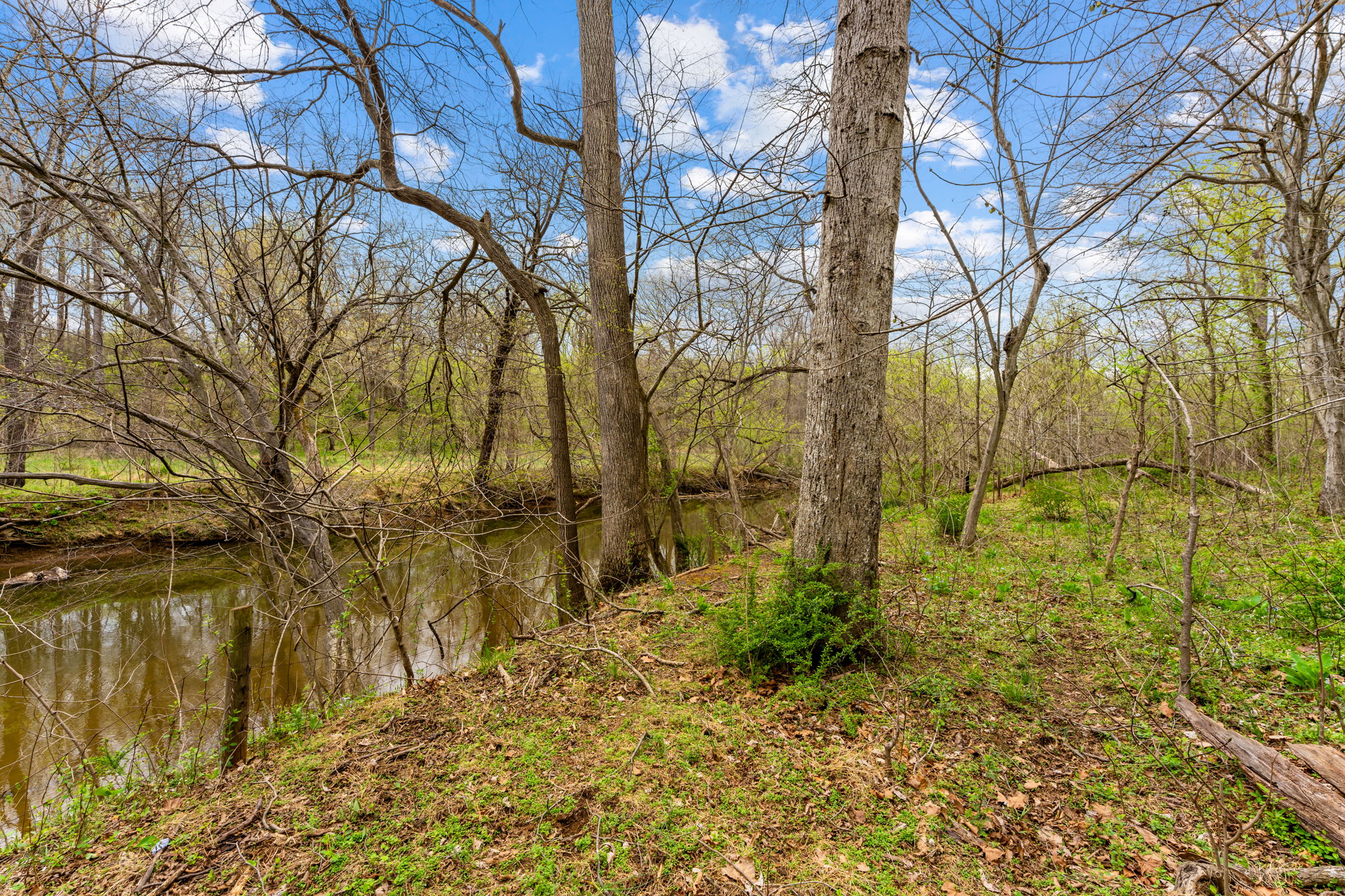  14039 Amys Meadow Court, Leesburg, VA, 20176 - 物件實景