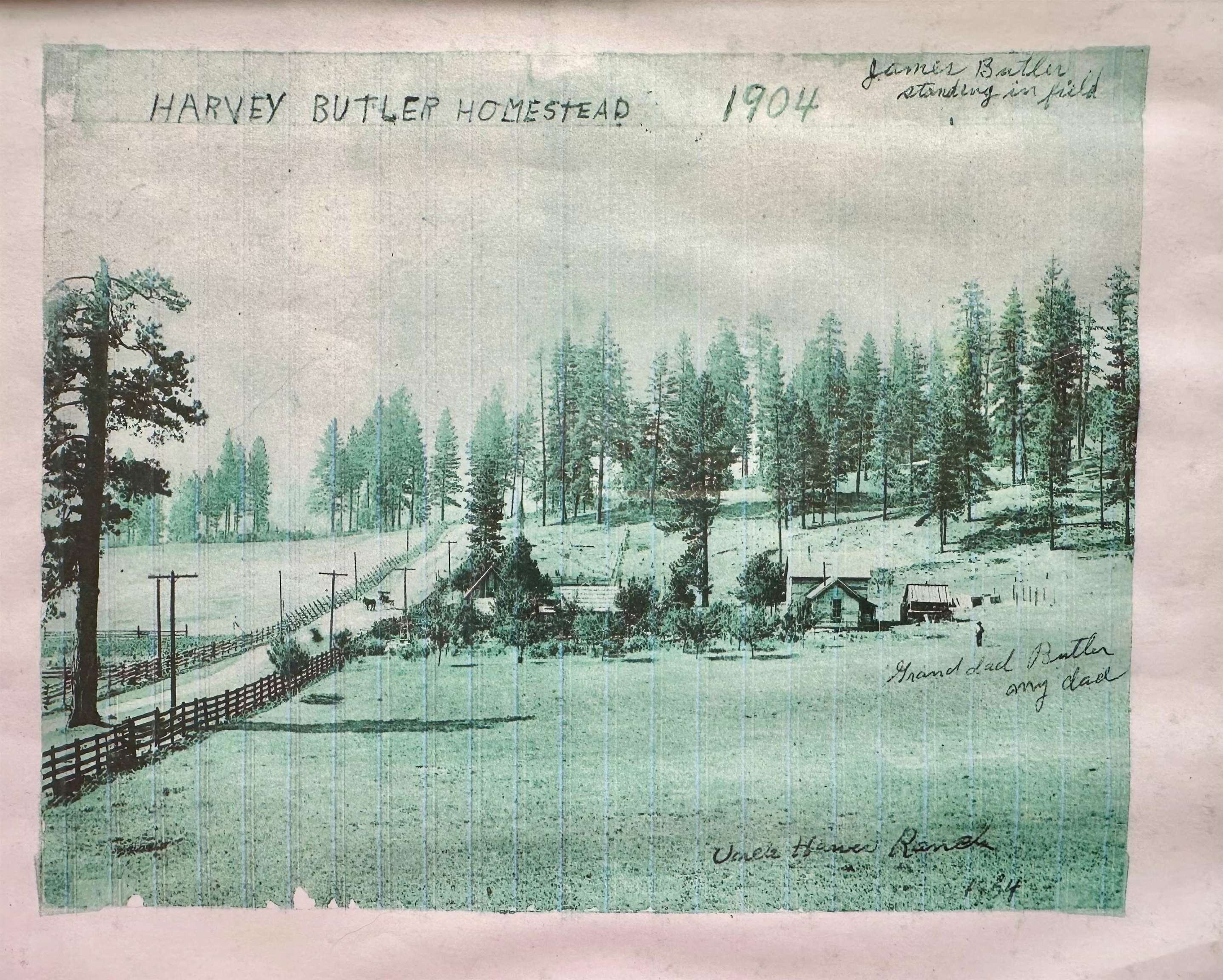 Chewelah, Washington, 99109, United States, 3 Bedrooms Bedrooms, ,2 BathroomsBathrooms,Residential,For Sale,1973712