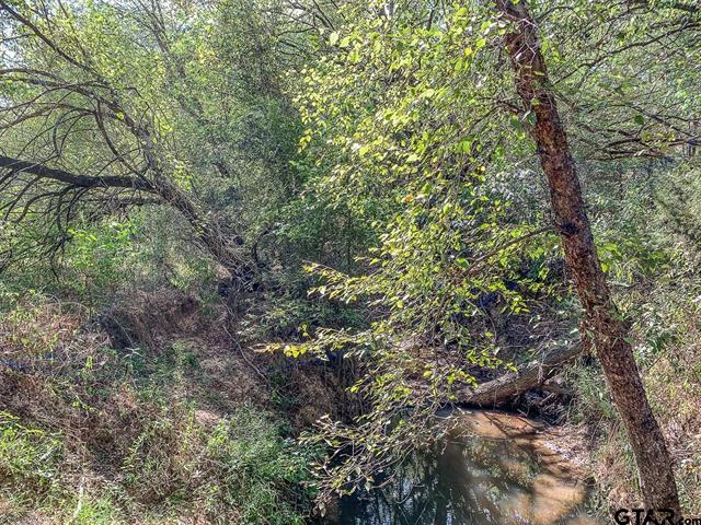 Mount Vernon, Texas, 75457, United States, ,Residential,For Sale,1998270