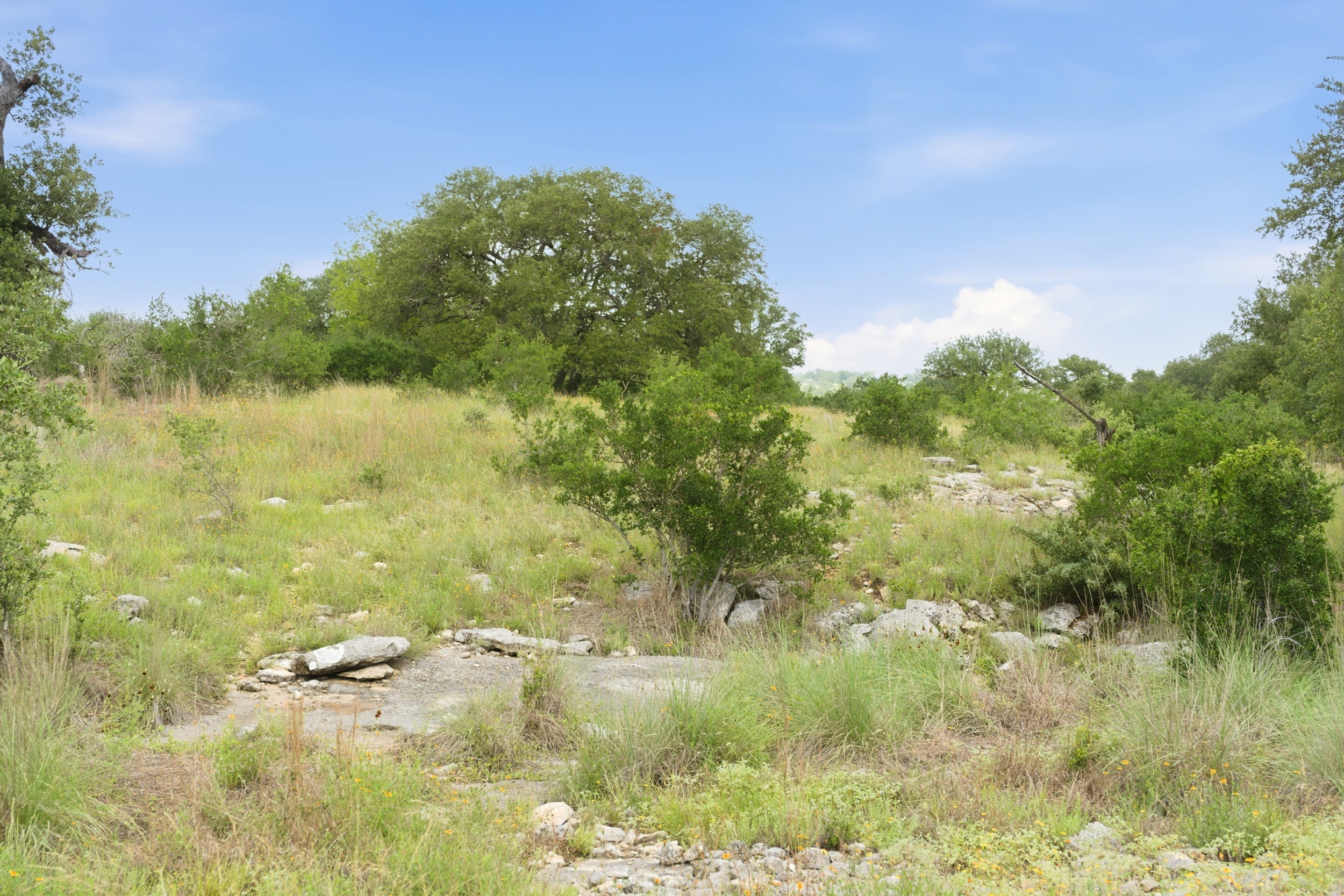  Rolling Oaks Ranch: The Pinnacle of Private Estate Living - 物件實景