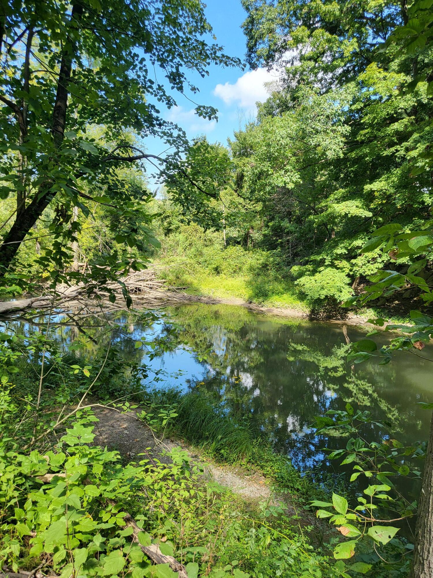 Union Pier, Michigan, 49129, United States, ,Land,For Sale,1988293