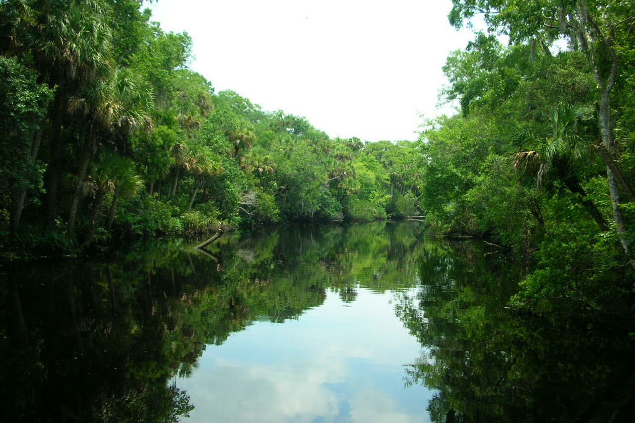 Port Orange, Florida, 32128, United States, 5 Bedrooms Bedrooms, ,3 BathroomsBathrooms,Residential,For Sale,1976466