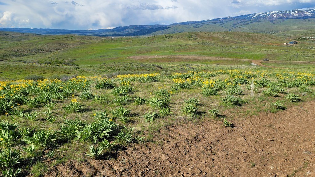 Council, Idaho, 83612, United States, 3 Bedrooms Bedrooms, ,2 BathroomsBathrooms,Residential,For Sale,1980798