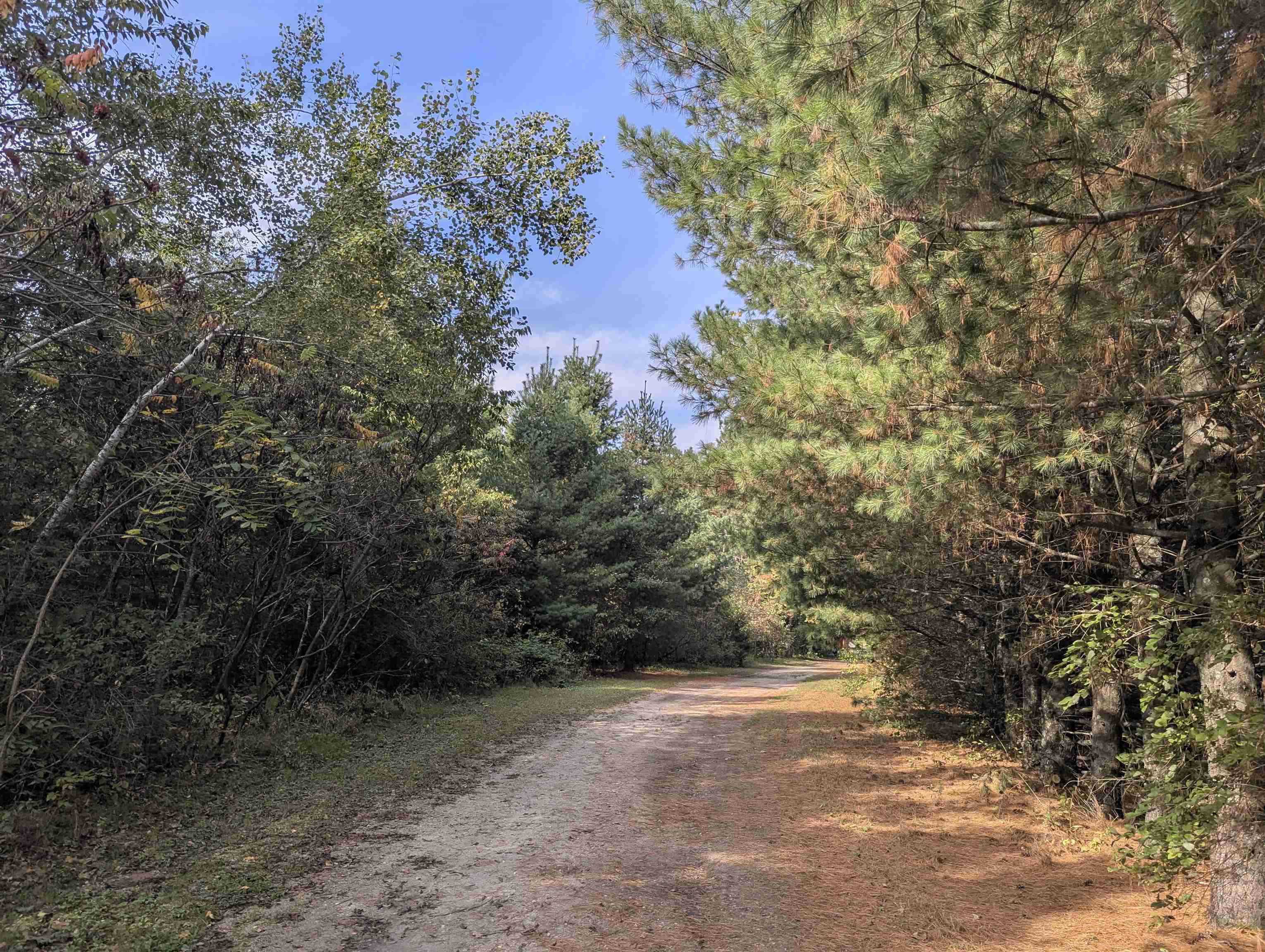 Friendship, Wisconsin, 53934, United States, 4 Bedrooms Bedrooms, ,2 BathroomsBathrooms,Residential,For Sale,1976127