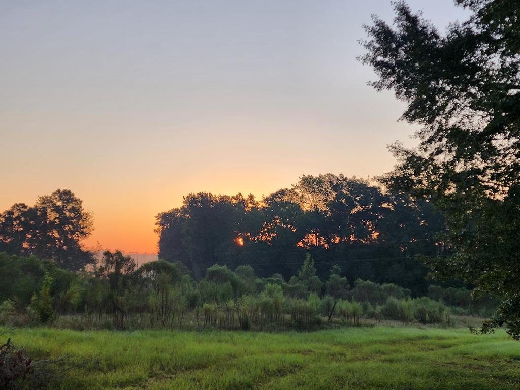 Pansey, Alabama, 36370, United States, 3 Bedrooms Bedrooms, ,3 BathroomsBathrooms,Residential,For Sale,1943922