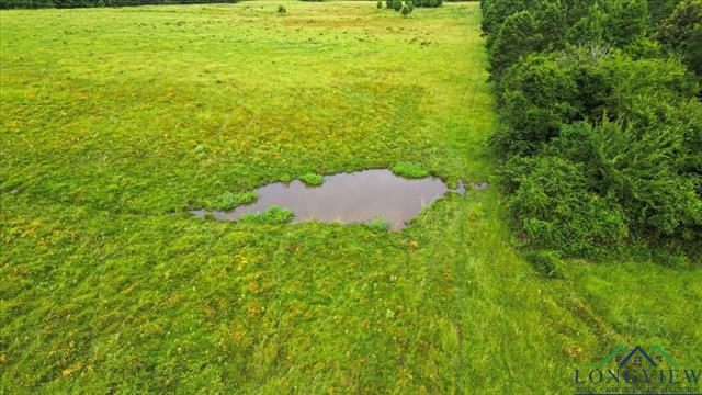 Henderson, Texas, 75654, United States, ,Land,For Sale,1885334