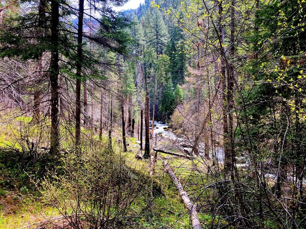 Riggins, Idaho, 83549, United States, 1 Bedroom Bedrooms, ,Residential,For Sale,1762926