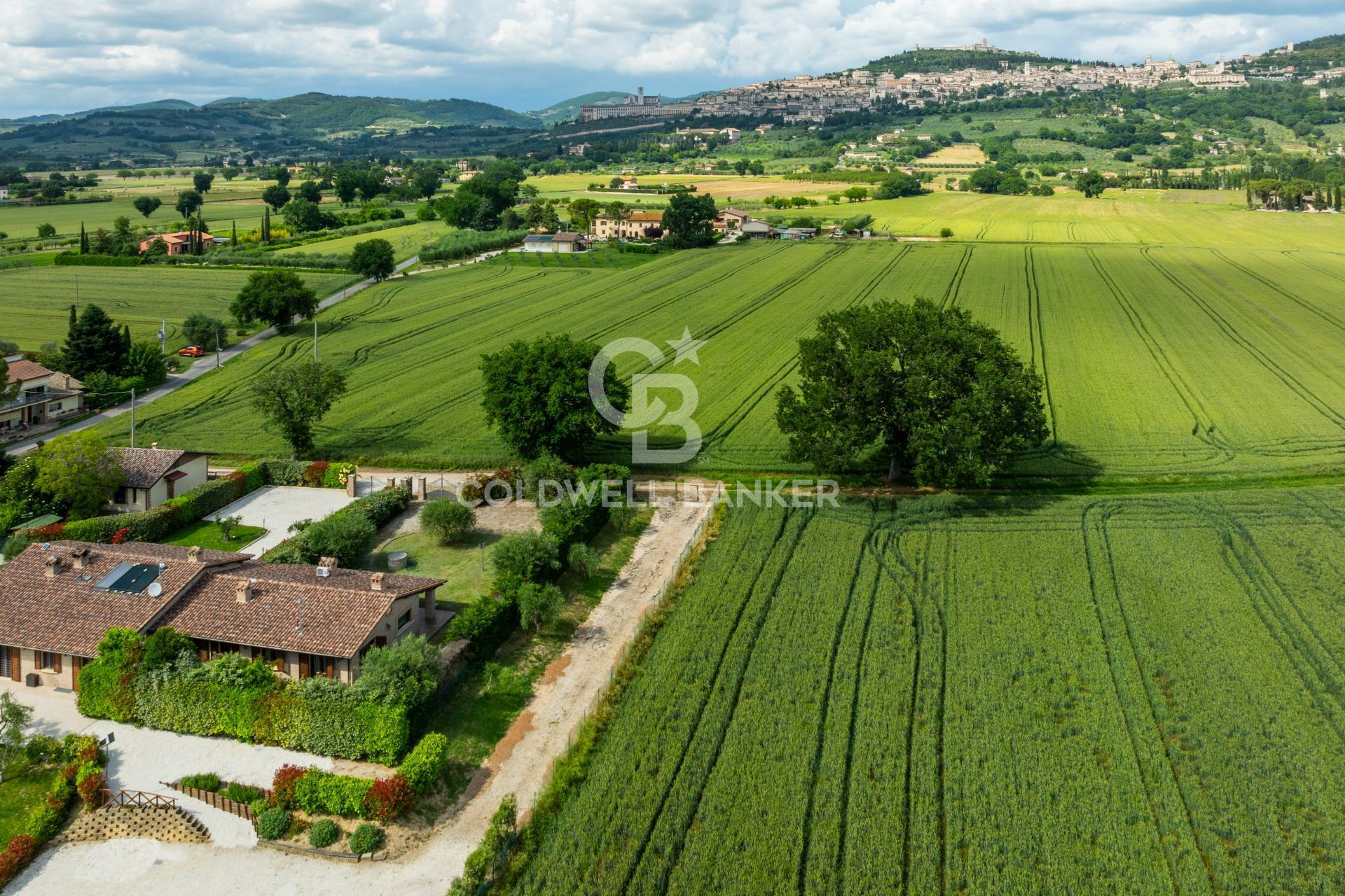 Assisi, Perugia, 06081, IT, 7 Bedrooms Bedrooms, ,3 BathroomsBathrooms,Residential,For Sale,1903573