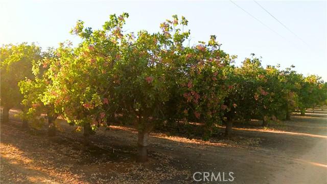 Madera, California, 93638, United States, ,Residential,For Sale,1941282