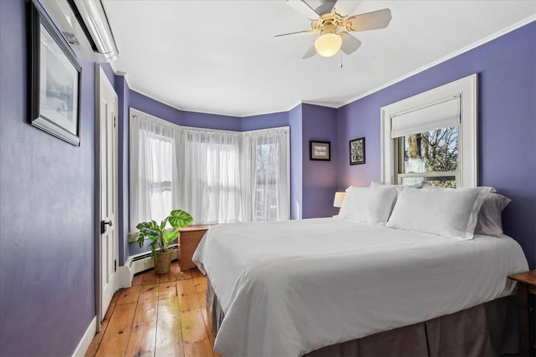  Classic Architectural Details in the Heart of Annandale - 物件實景