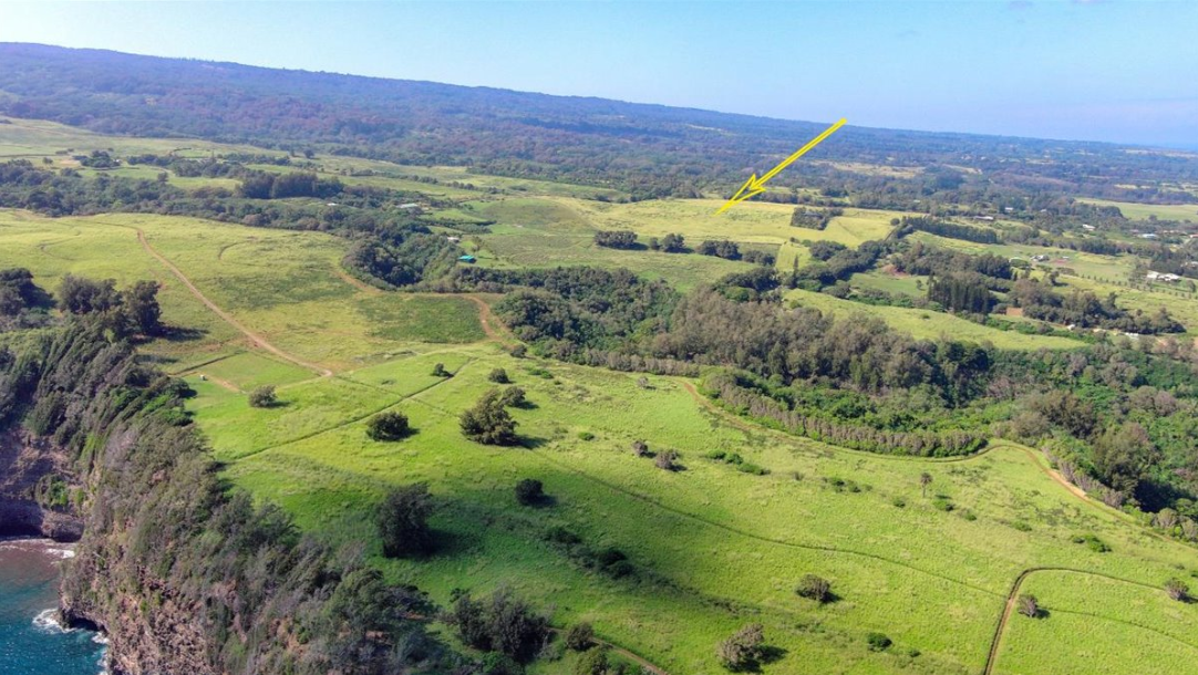 Kapaau, Hawaii, 96755, United States, ,Land,For Sale,2005975