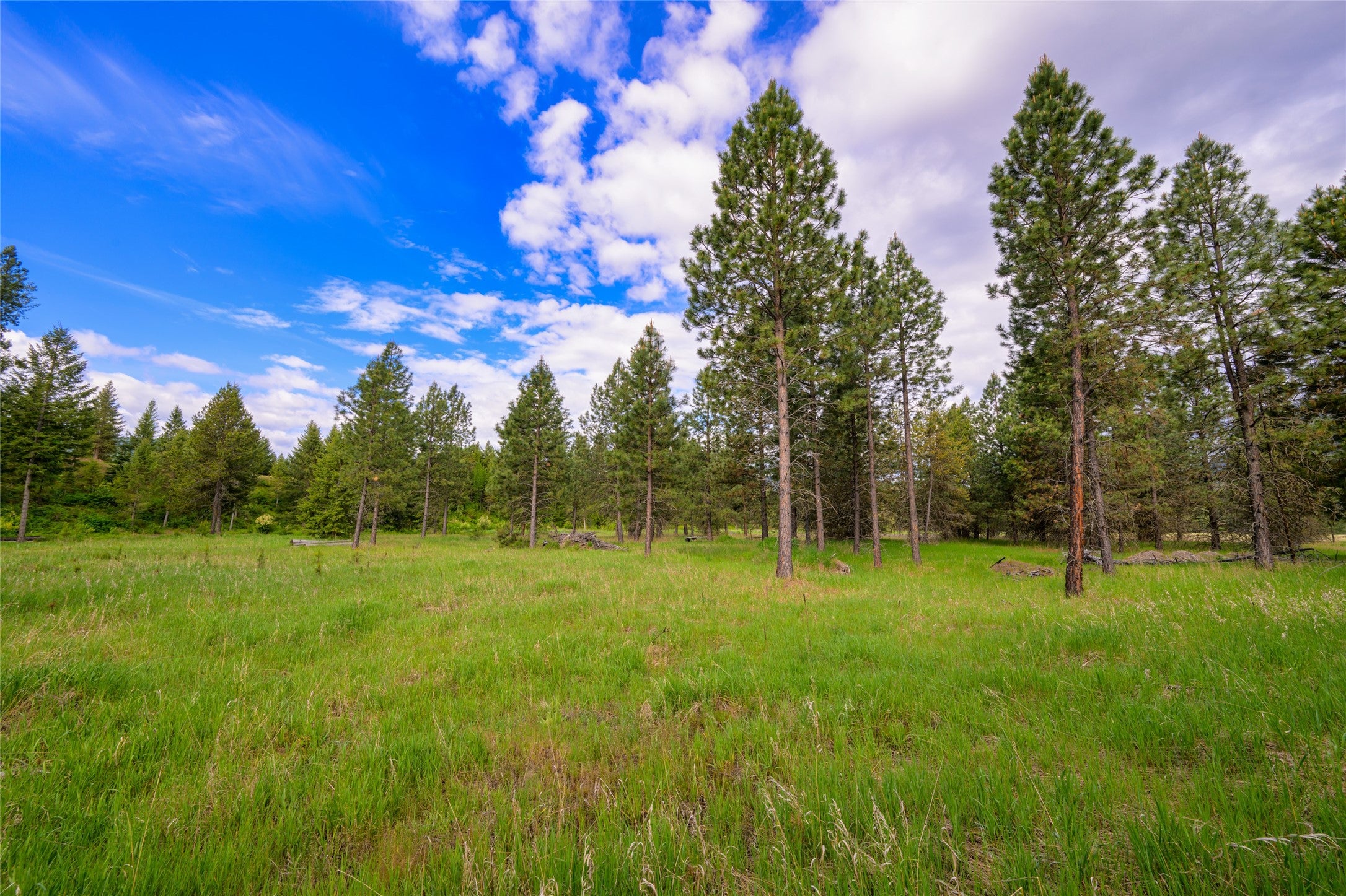 St Regis, Montana, 59866, United States, ,Land,For Sale,1848990
