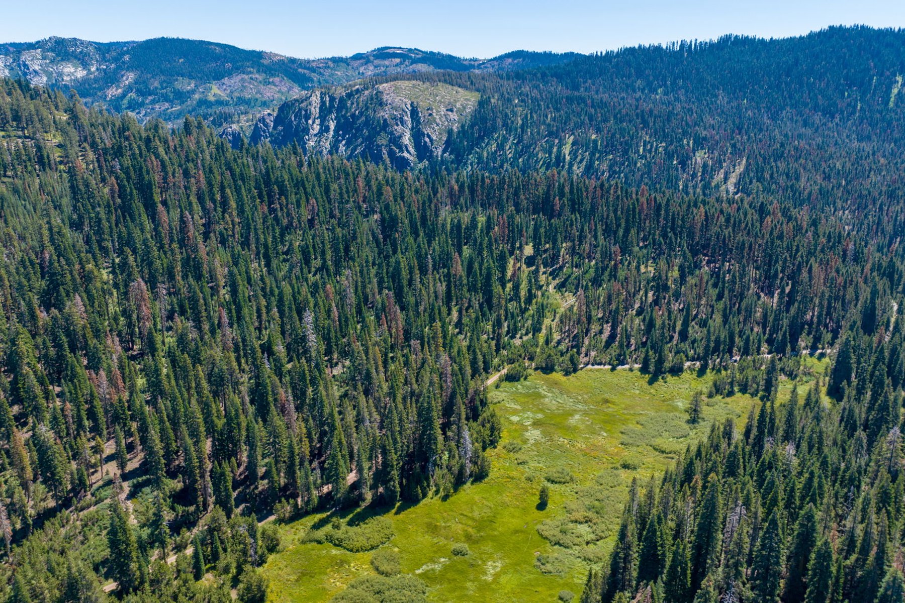  80 Acres of Pristine Land in the Middle of Plumas Eureka State Park - 物件實景