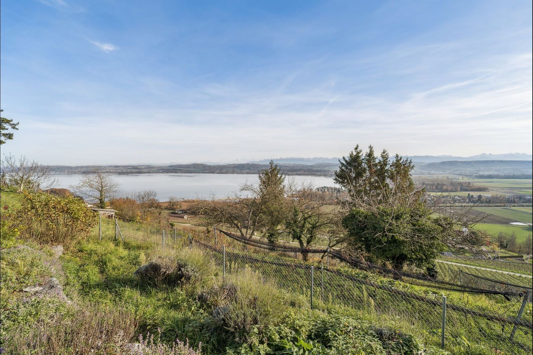  Exceptional lake-view property in Bellerive - 物件實景