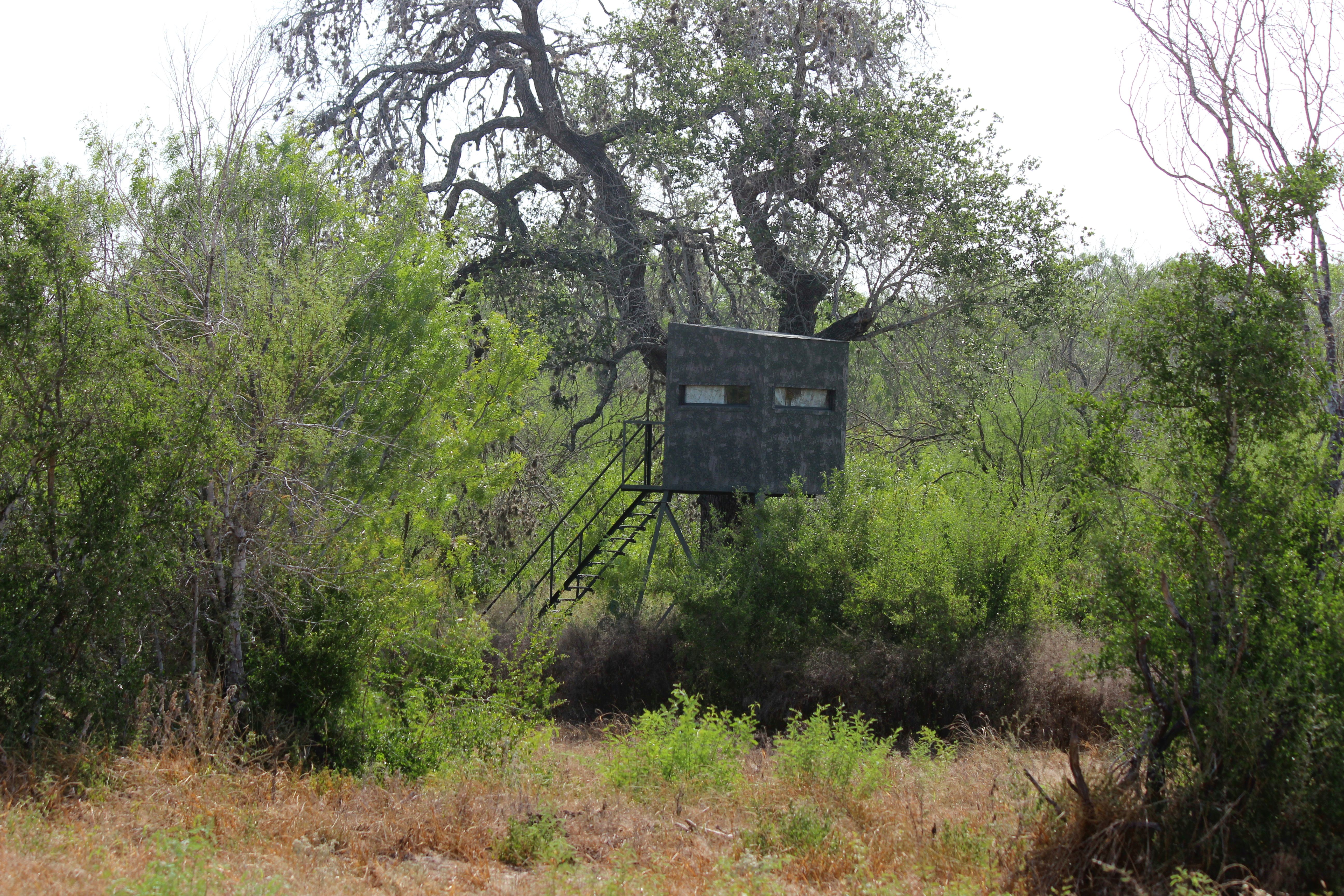  1,947-Acre Neuces West Ranch - 物件實景