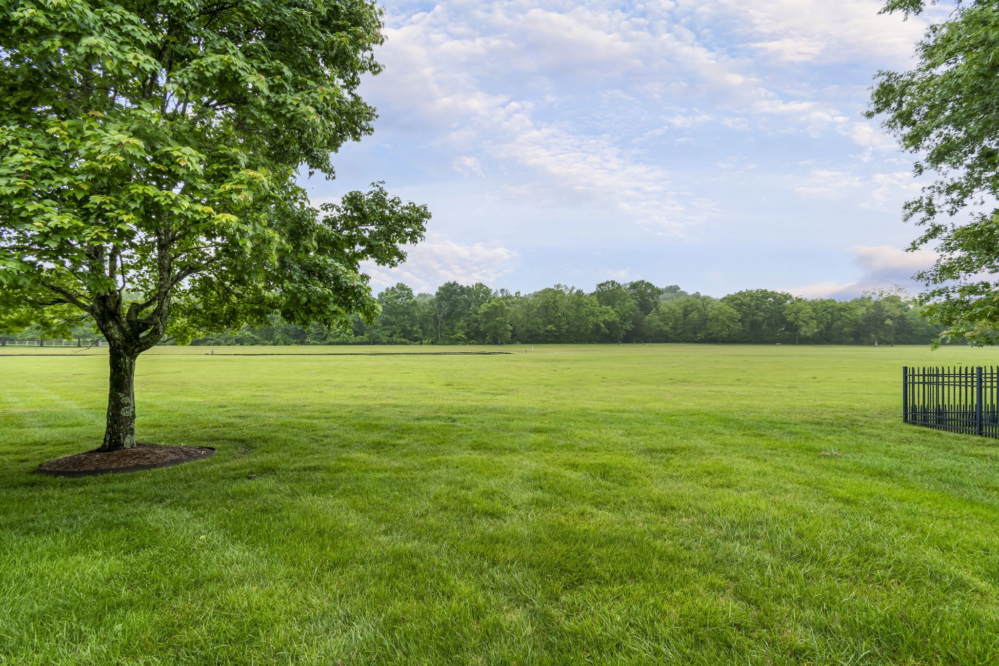  158 Tara Ln, Goodlettsville, TN, 37072 - 物件實景