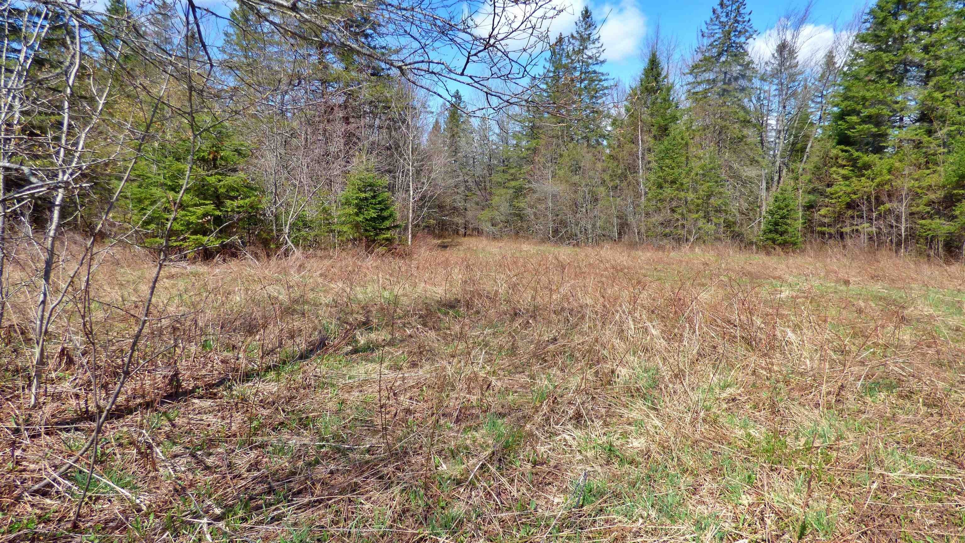 Wheelock, Vermont, 05851, United States, ,Land,For Sale,2017669