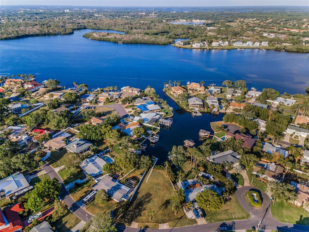 Palm Harbor, Florida, 34683, United States, ,Land,For Sale,1779220