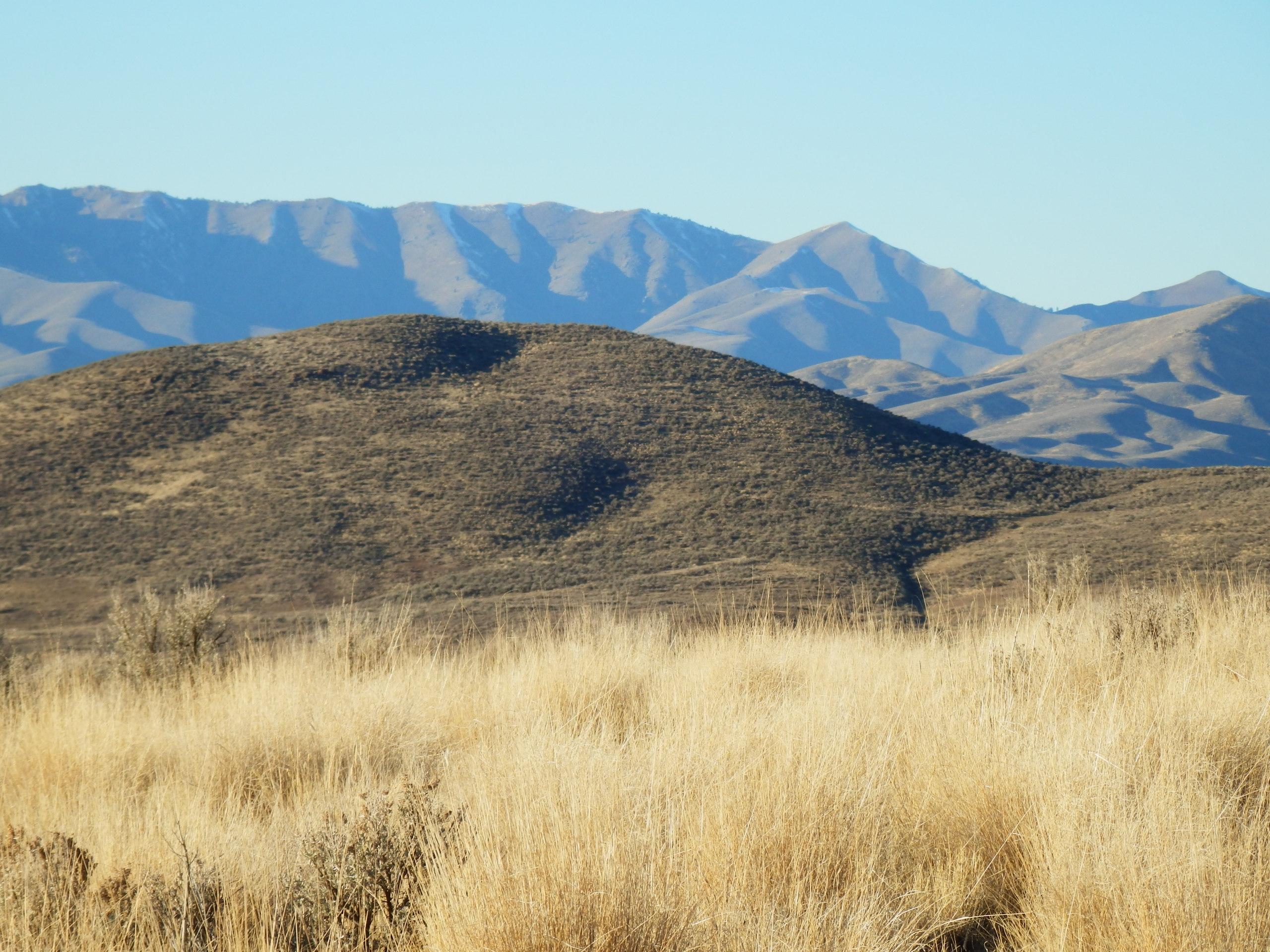 Blaine County, Idaho, 83313, United States, ,Land,For Sale,1784823