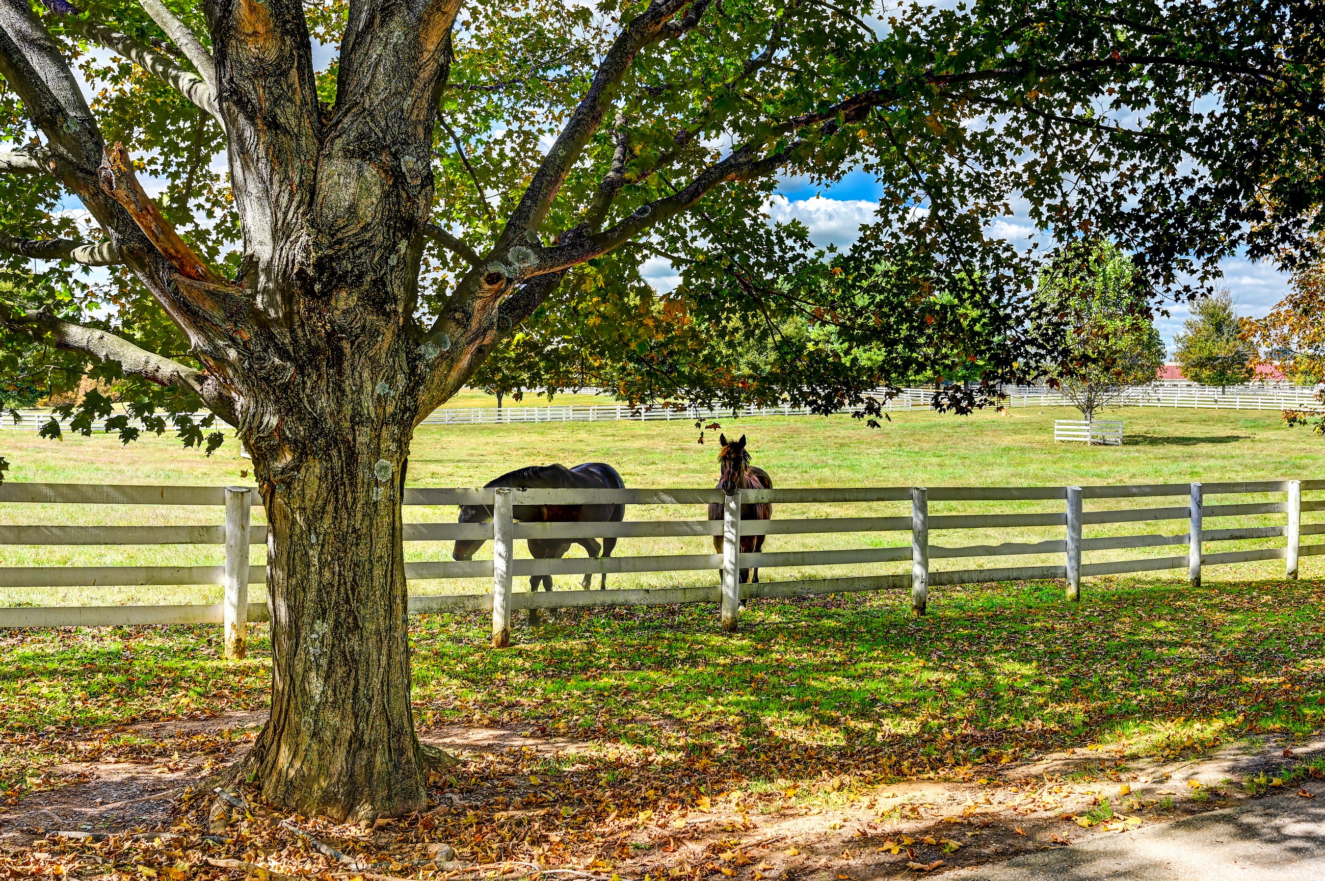  Worthington Valley - 物件實景