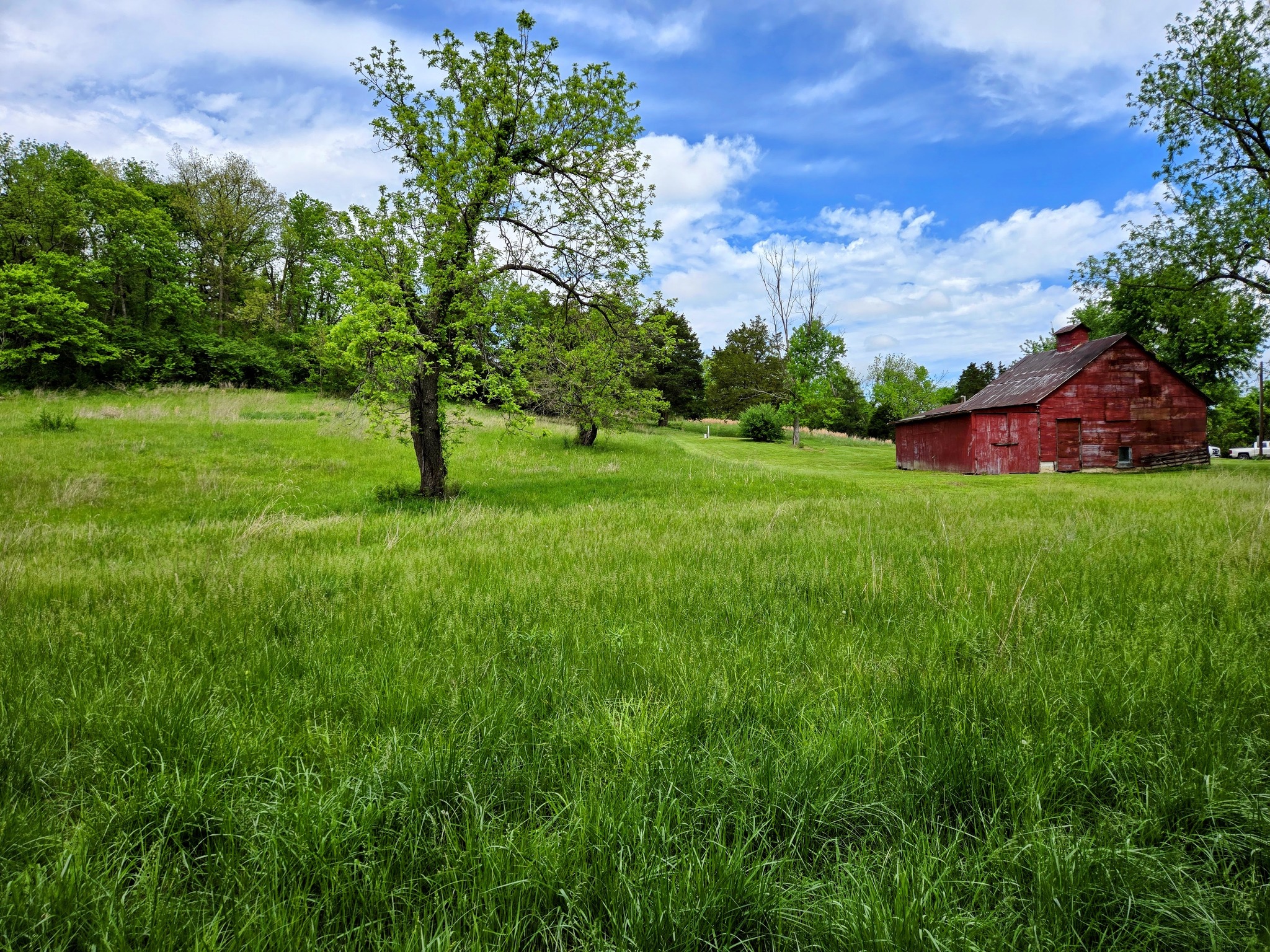 Center, Missouri, 63436, United States, 3 Bedrooms Bedrooms, ,1 BathroomBathrooms,Residential,For Sale,2043606