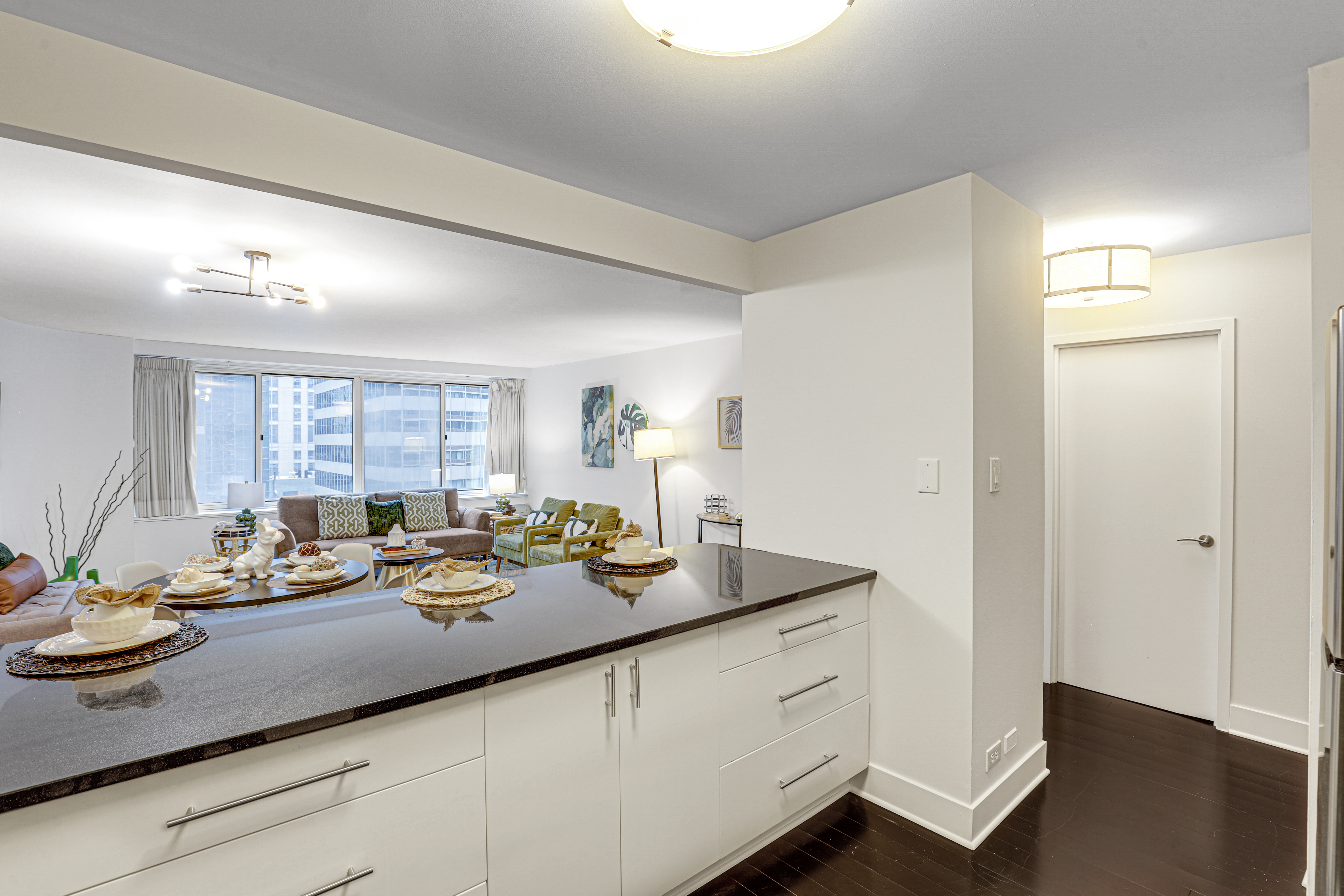  Spacious and Updated 900-square-foot One-bedroom in the Heart of Streeterville - 物件實景